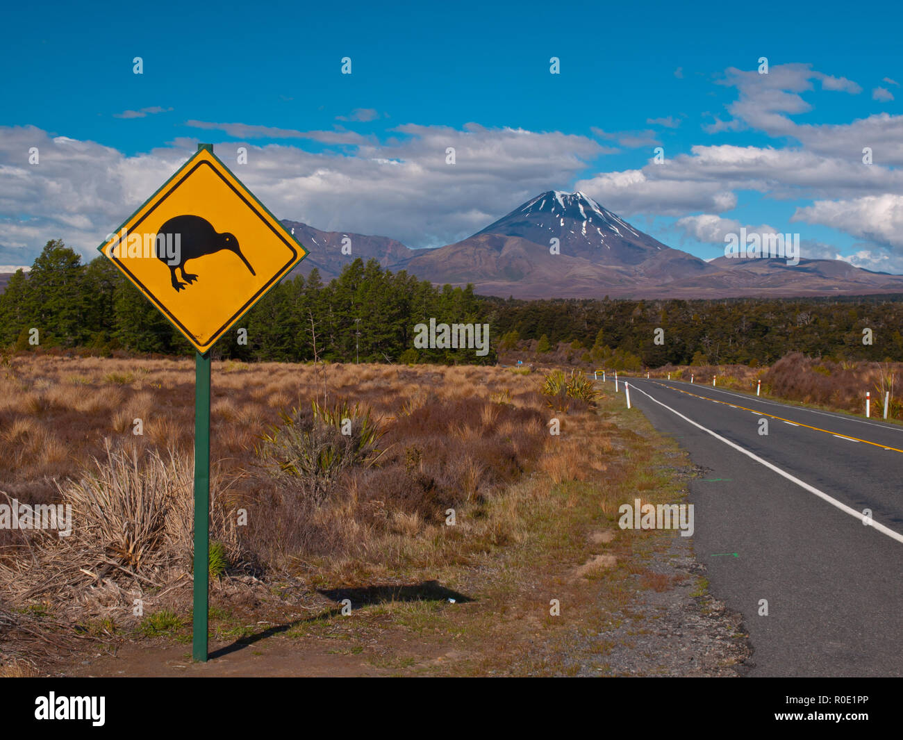 Kiwi cartello segnaletico con vulcano nella parte posteriore Foto Stock