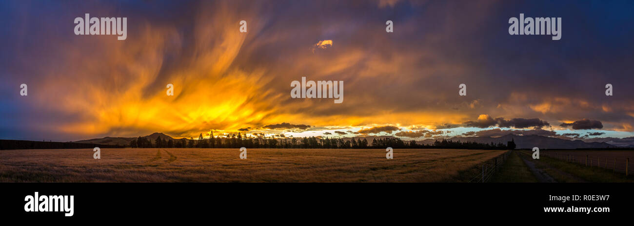 Panorama di un né"West Sunset on the Canterbury Plains, Nuova Zelanda Foto Stock