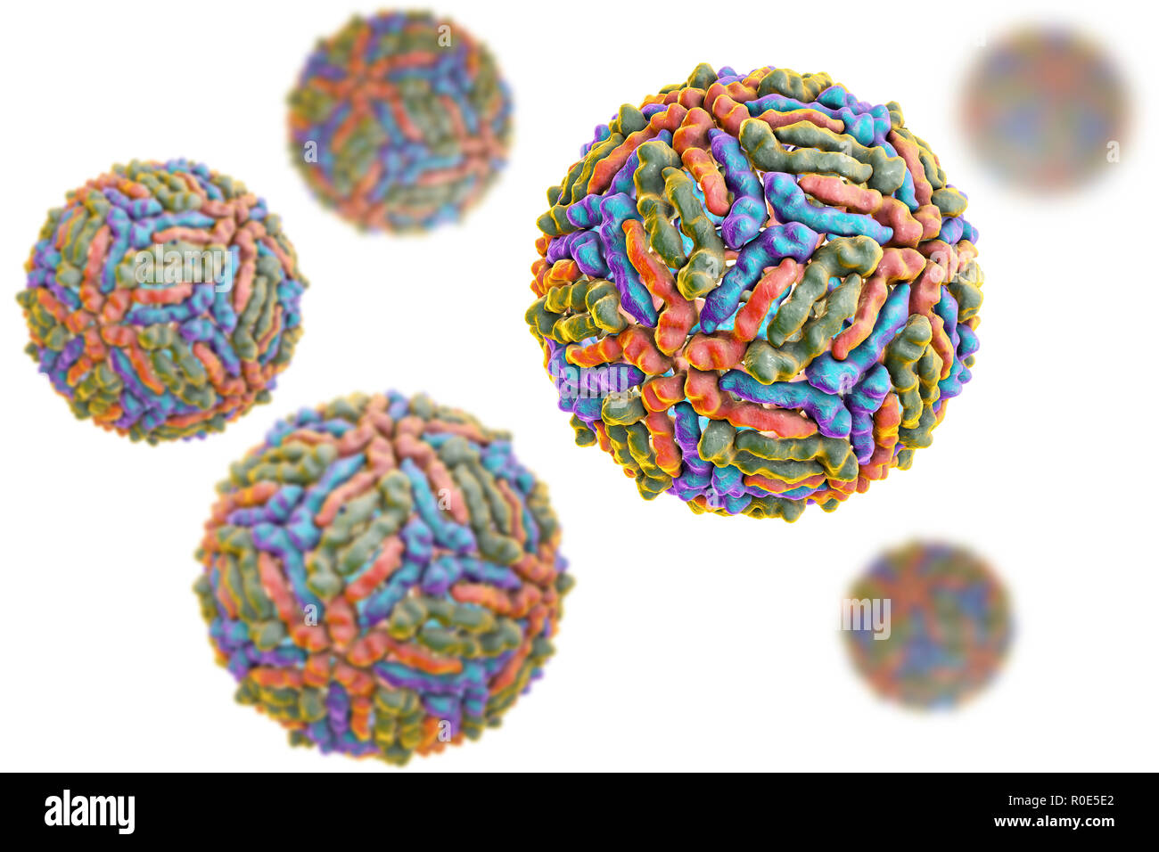 Il virus del Nilo occidentale particella, computer illustrazione. Il virus del Nilo occidentale (WNV) è noto per provocare l'encefalite negli esseri umani. Il WNV appartiene al gruppo da flavivirus, che sono RNA (acido ribonucleico) virus che sono circondati da una proteina esterna busta. WNV è trasmessa da zanzare e infetta sia gli esseri umani e gli animali. I sintomi possono variare da una lieve febbre a sanguinamento spontaneo della pelle e circolatorio fallimento, che spesso sono fatali. Foto Stock