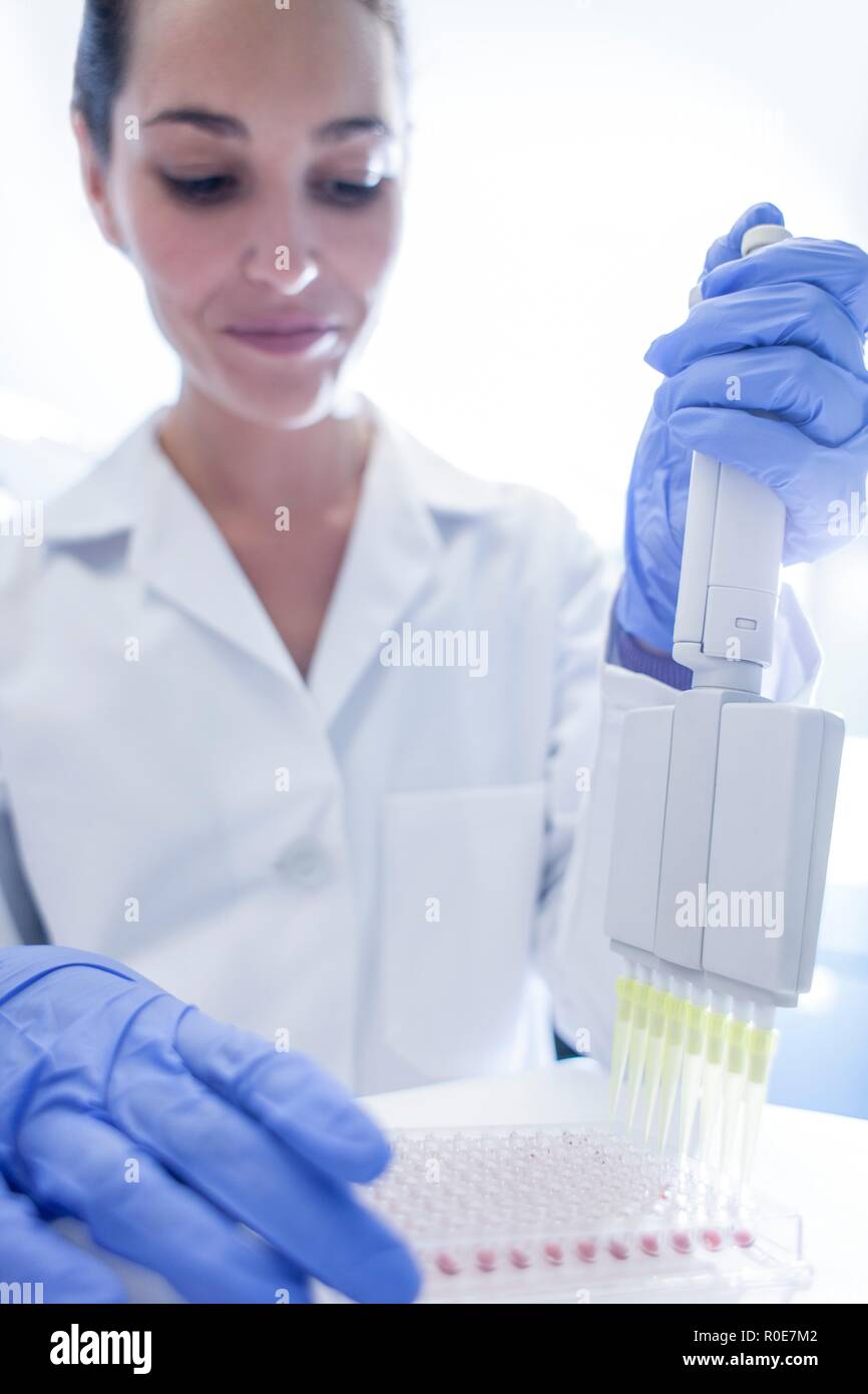 Femmina assistente di laboratorio mediante pipetta multipla. Foto Stock