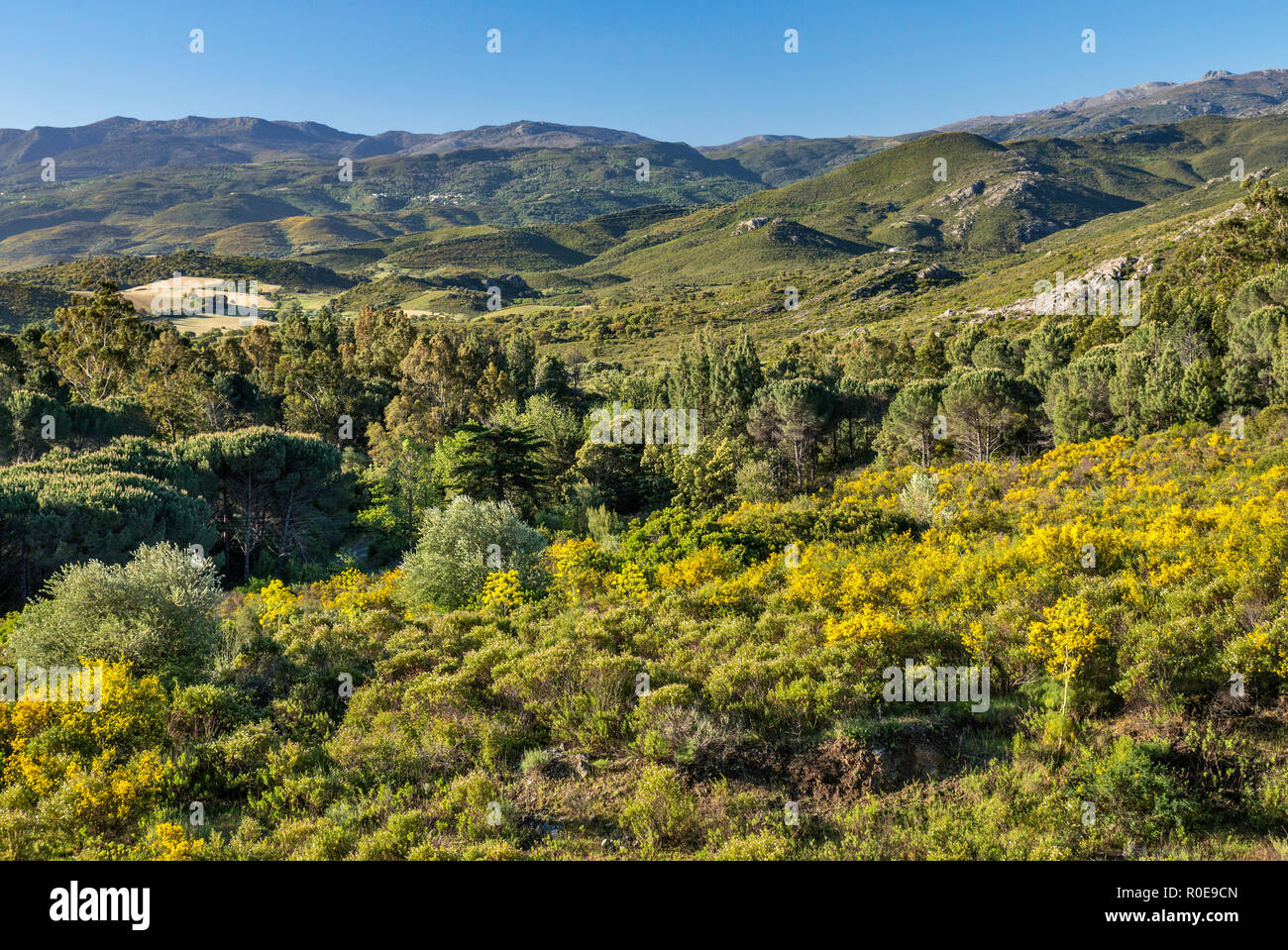 Vista del Nebbio regione (Aliso River Valley), vicino a Saint-Florent, Haute-Corse reparto, Corsica, Francia Foto Stock