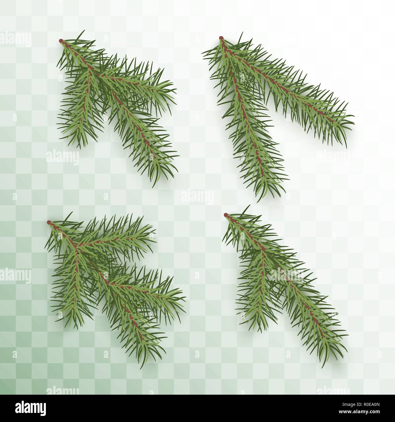 Rami di conifere set. Verde rami di un albero di Natale isolato su sfondo trasparente. Ramo di conifere simbolo del Natale e del nuovo anno. Holiday Illustrazione Vettoriale