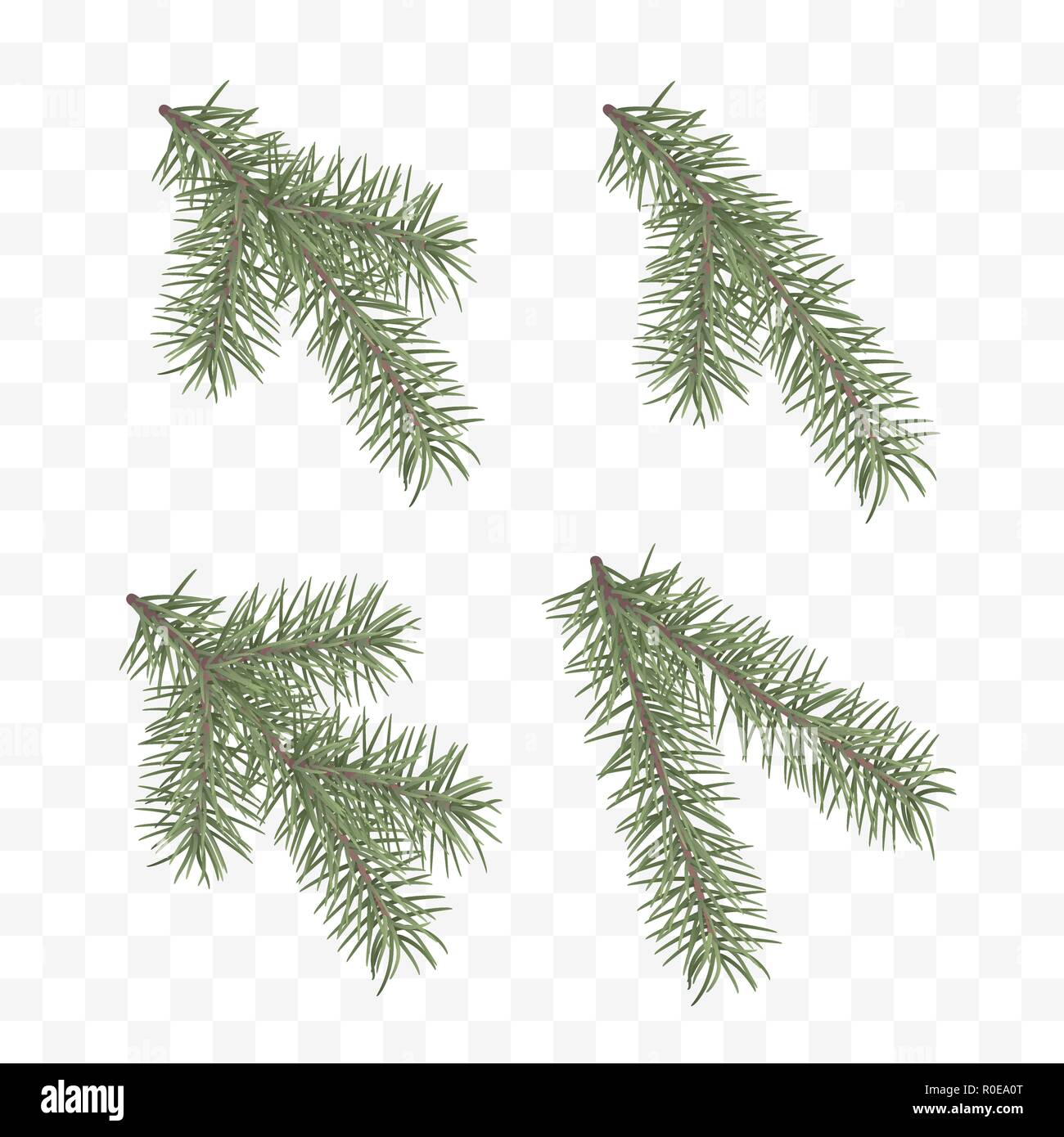 Set di realistico rami di abete. Albero di Natale o di pino. Ramo di conifere simbolo del Natale e del nuovo anno isolato su sfondo trasparente. Vector illu Illustrazione Vettoriale