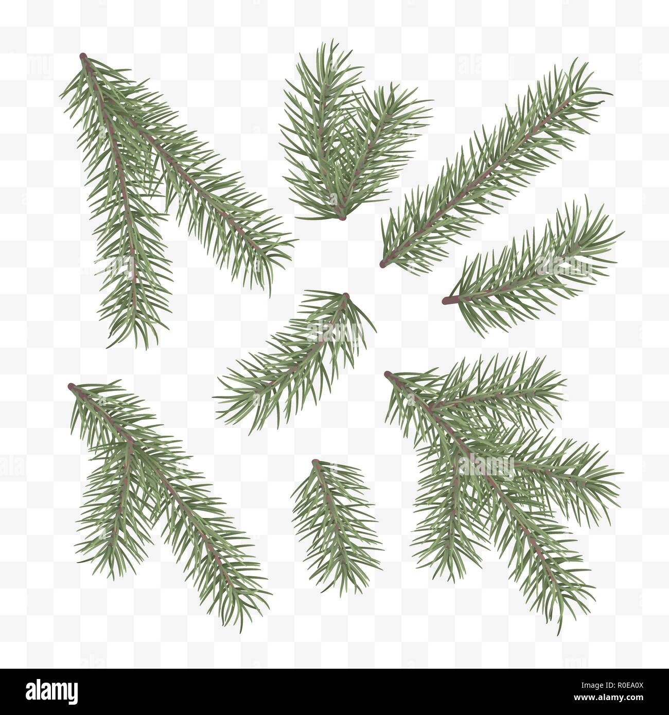 Verde rami di abete. Holiday elemento di arredo. Set di un albero di Natale rami. Ramo di conifere simbolo del Natale e del nuovo anno. Illustrazione Vettoriale isol Illustrazione Vettoriale