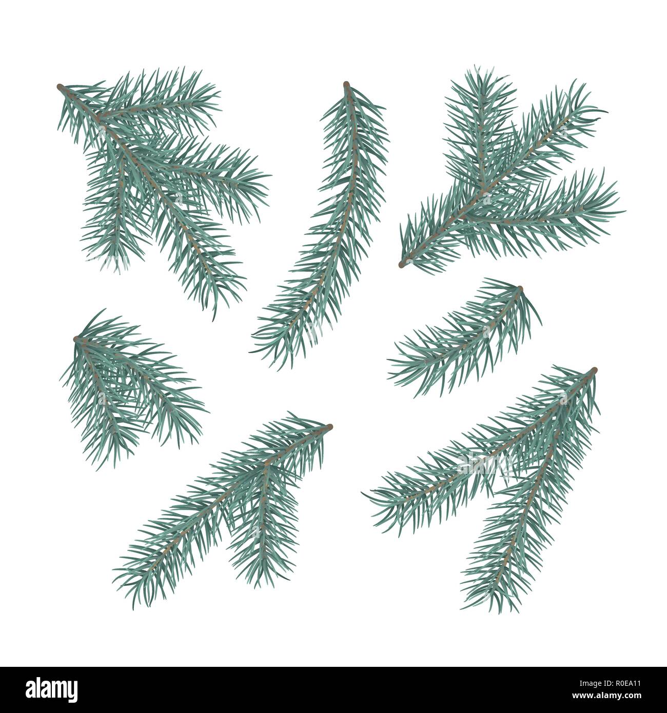 Verde rami di abete. Set di un albero di Natale rami. Ramo di conifere simbolo del Natale e del nuovo anno. Holiday elemento di arredo. Illustrazione Vettoriale isol Illustrazione Vettoriale