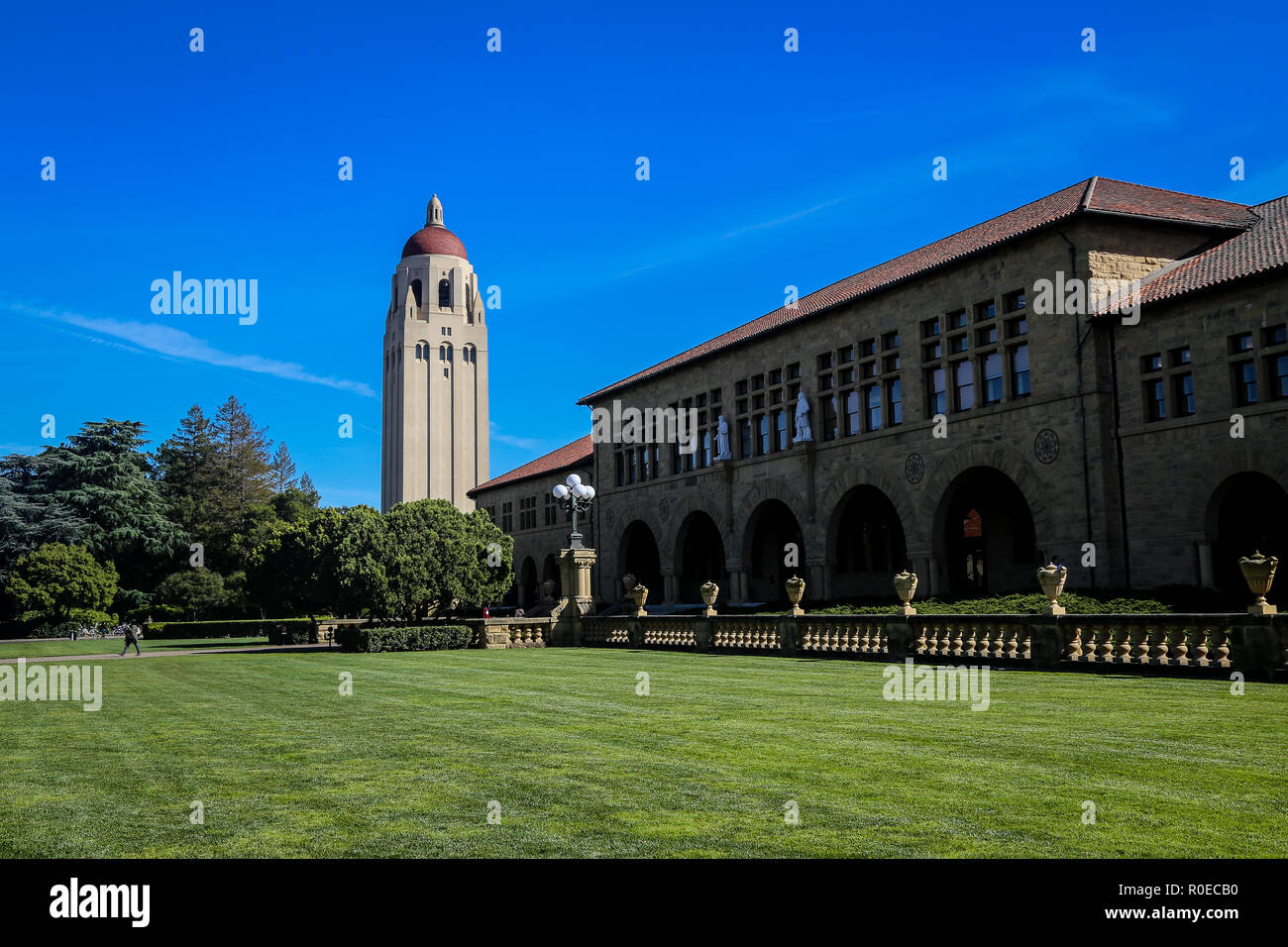 Stanford campus Foto Stock