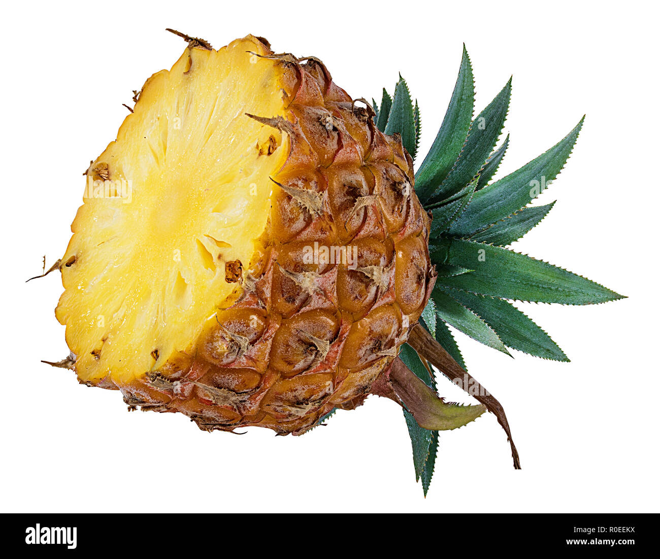 Ananas fresco isolato su sfondo bianco Foto Stock