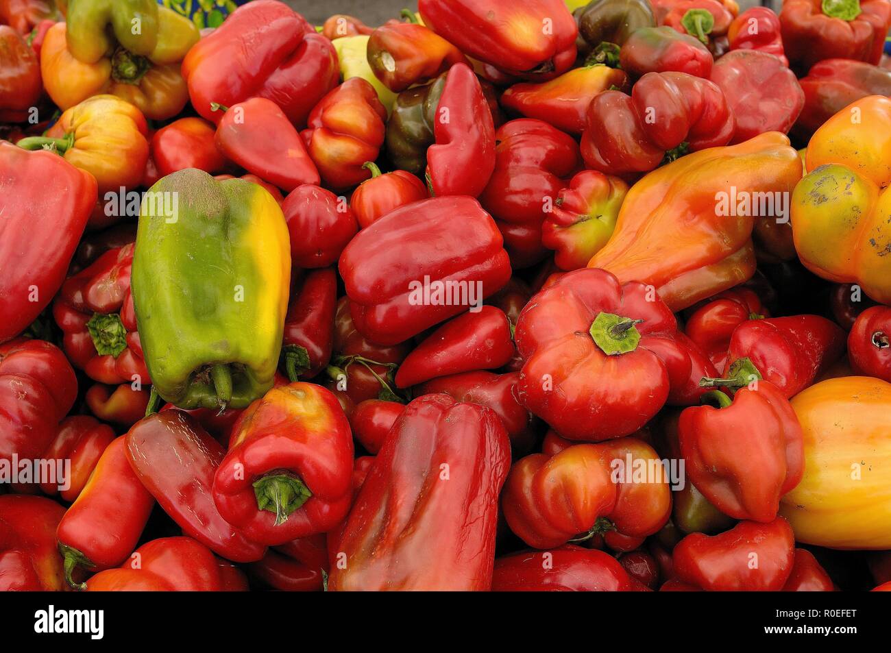 Peperoni rossi ammassati in una cesta per il Mercato degli Agricoltori Foto Stock