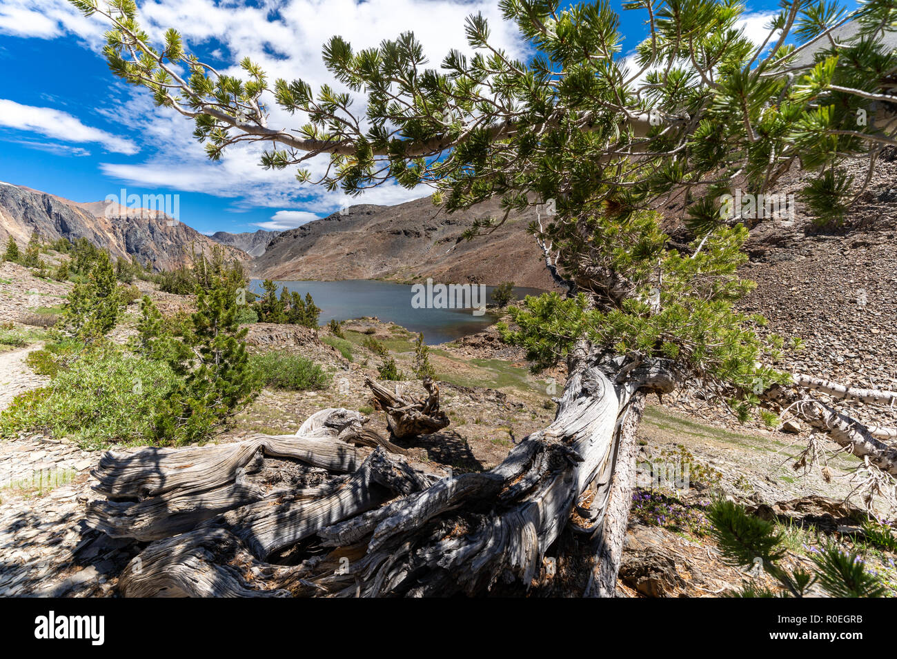 Bellissimo scenario di montagna guardando indietro sulla bisaccia lago lungo la 20 bacino dei Laghi sentiero escursionistico nelle montagne della Sierra Nevada in California Foto Stock