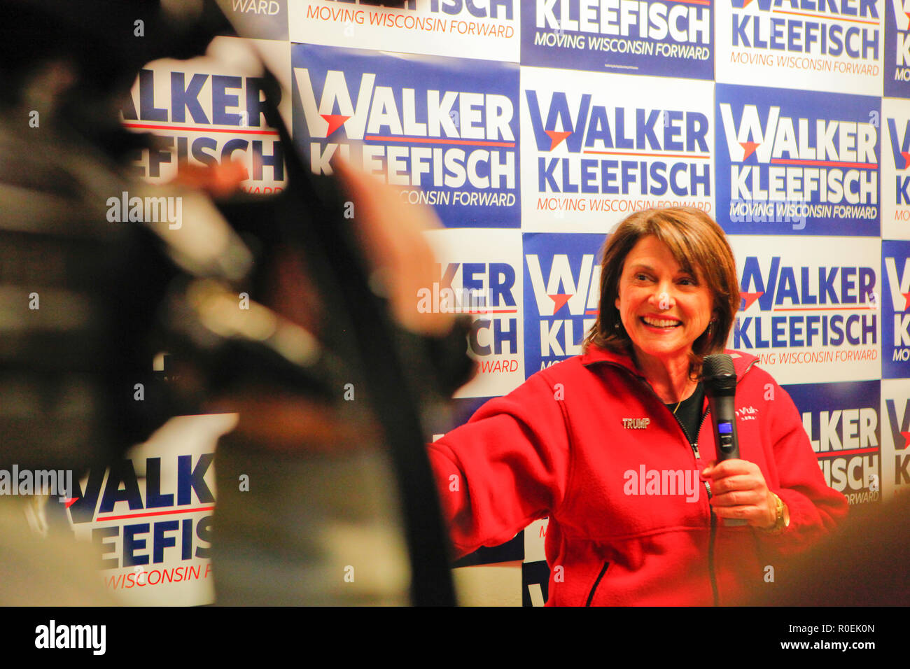 2018 elezioni di mid-term Wisconsin Foto Stock