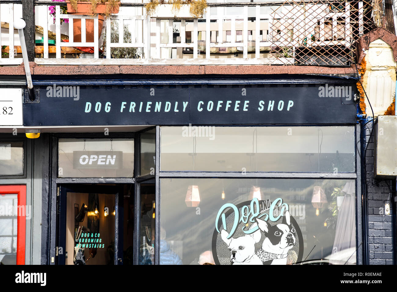 Dog Friendly Coffee Shop, Cane e Co, Eastern Esplanade, Southend on Sea, Essex, Regno Unito. Animali domestici. Shop, negozio di fronte. Foto Stock