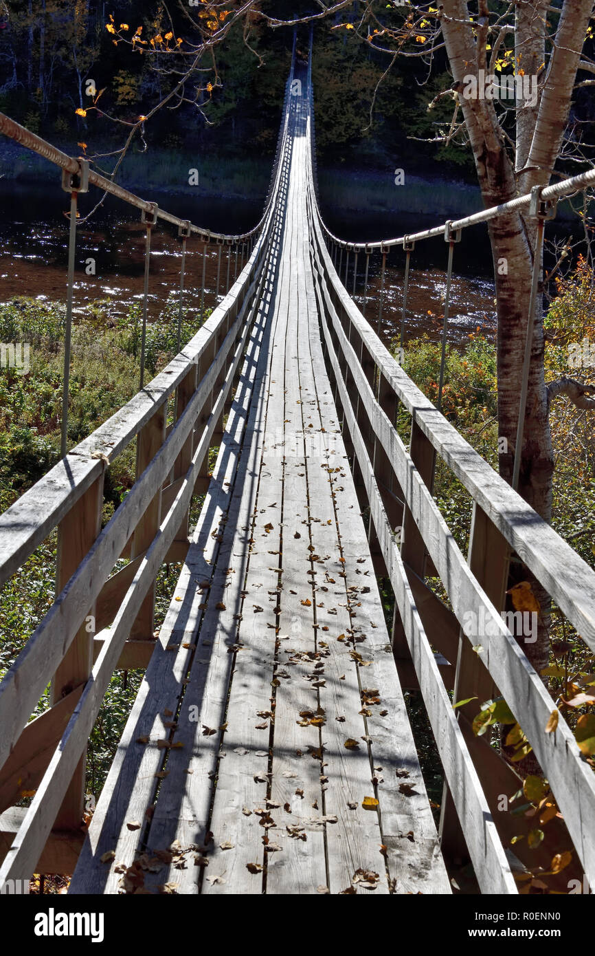 Un'immagine verticale di una sospensione ponte che attraversa il fiume Hammond a Upham nelle zone rurali di San Giovanni nella contea di New Brunswick, Canada. Foto Stock