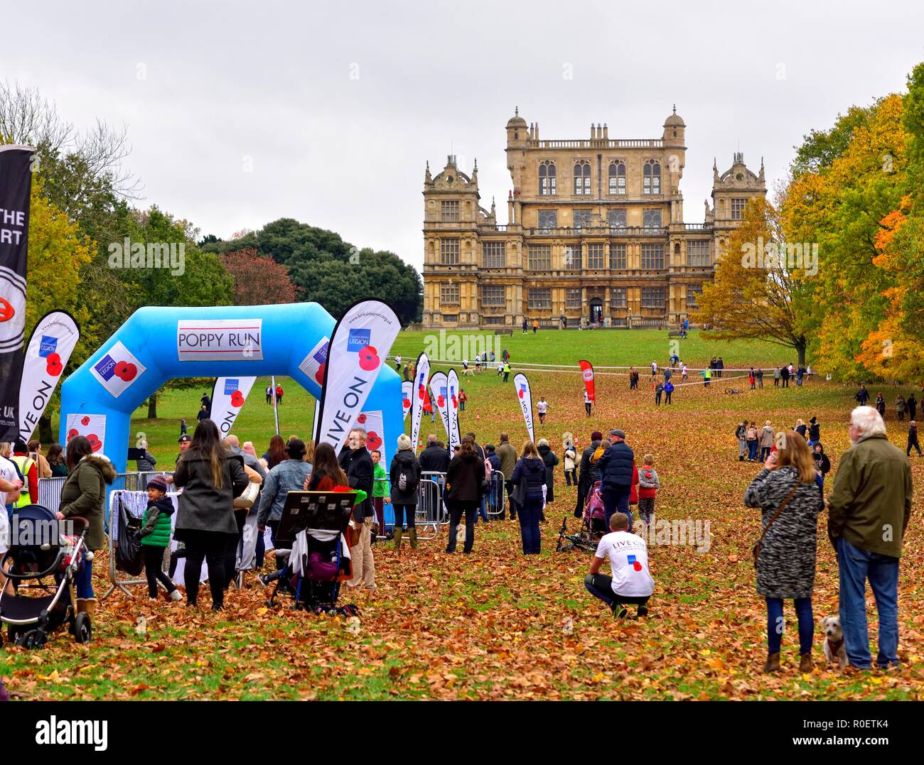 Nottingham, Regno Unito. Il 4 novembre 2018. Il Royal British Legion Poppy eseguito su Wollaton Park,Nottingham, Inghilterra, Regno Unito. Credito: ACORN 1/Alamy Live News. Foto Stock