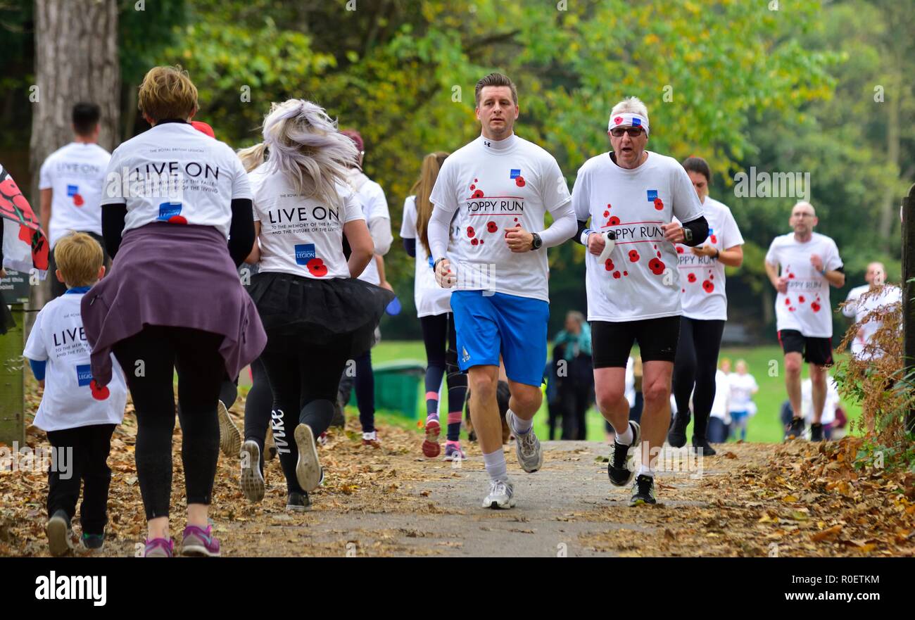 Nottingham, Regno Unito. Il 4 novembre 2018. Il Royal British Legion Poppy eseguito su Wollaton Park,Nottingham, Inghilterra, Regno Unito. Credito: ACORN 1/Alamy Live News. Foto Stock