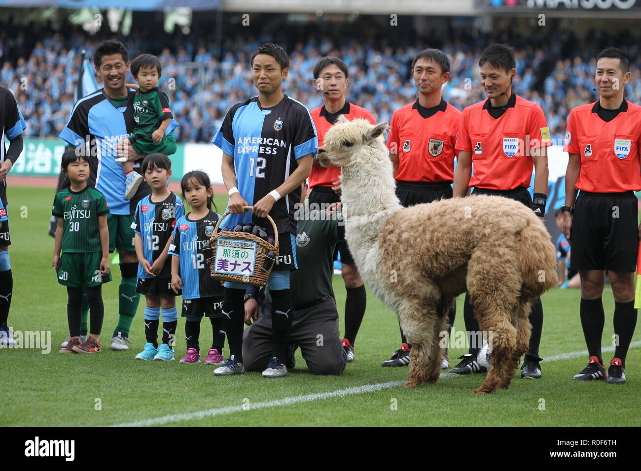 Kanagawa, Giappone. 3 Novembre, 2018. Yu Kobayashi (frontale) Calcio/Calcetto : Yu Kobayashi di Kawasaki Frontale pone con Nasu degli animali del Regno alpaca 'Kinako-chan' prima del 2018 J1 League match tra Kawasaki frontale 3-0 Kashiwa Reysol a Todoroki Stadium di Kanagawa, Giappone . Credito: AFLO/Alamy Live News Foto Stock