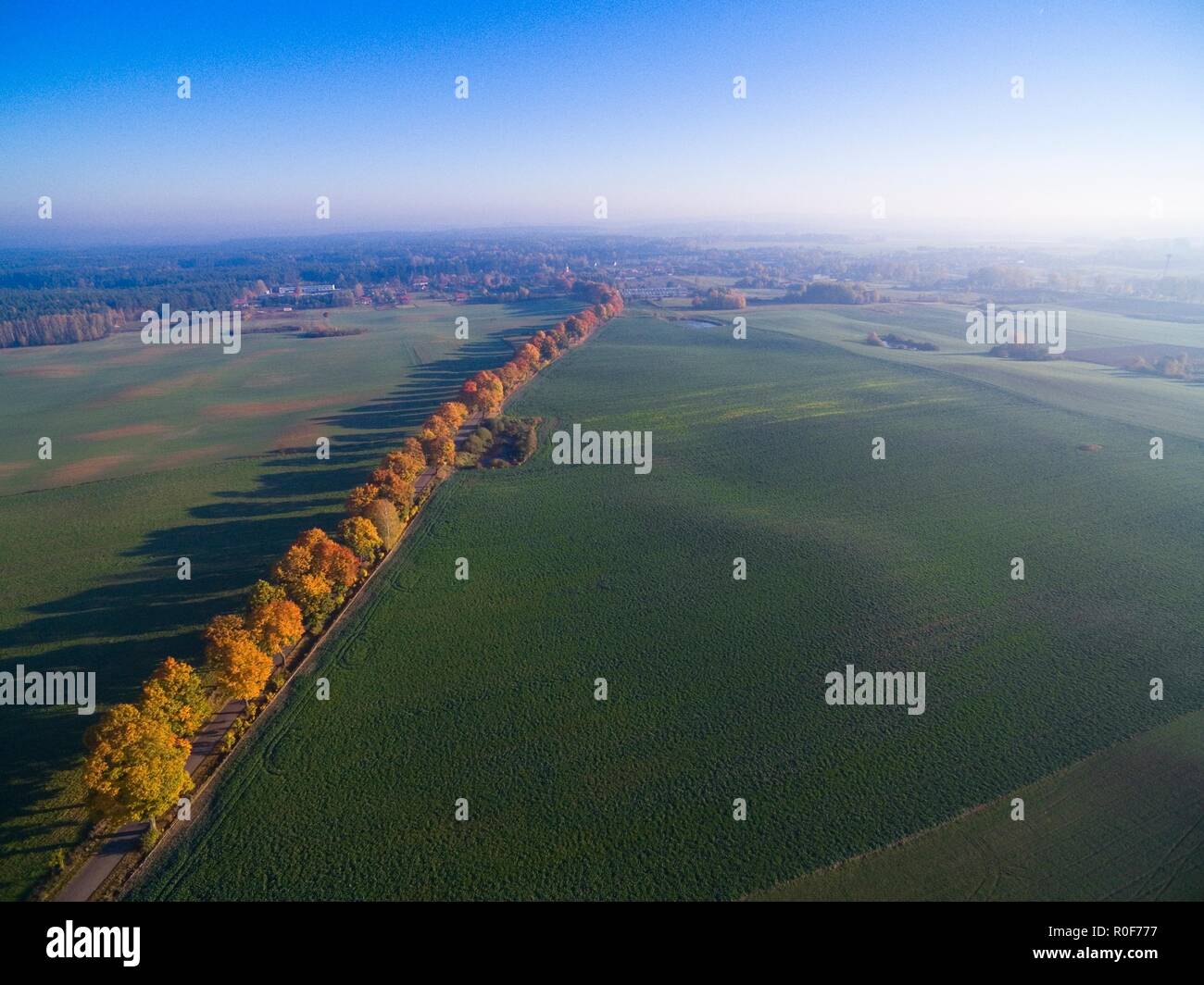 Strada di campagna con colorati alberi di acero attraverso il terreno collinare durante la stagione autunnale, Mazury, Polonia Foto Stock