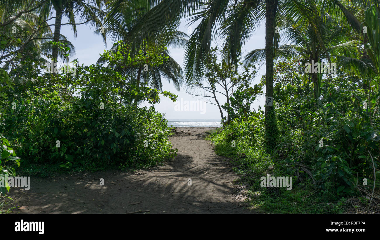 Spiaggia tropicale con scuri (nero) sabbia su di una bella giornata splendente - tortuguero, Costa Rica Foto Stock