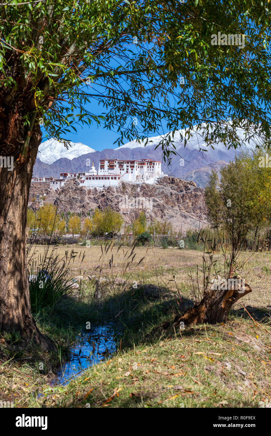 Monastero di Stakna o Stakna Gompa, Ladakh, India Foto Stock