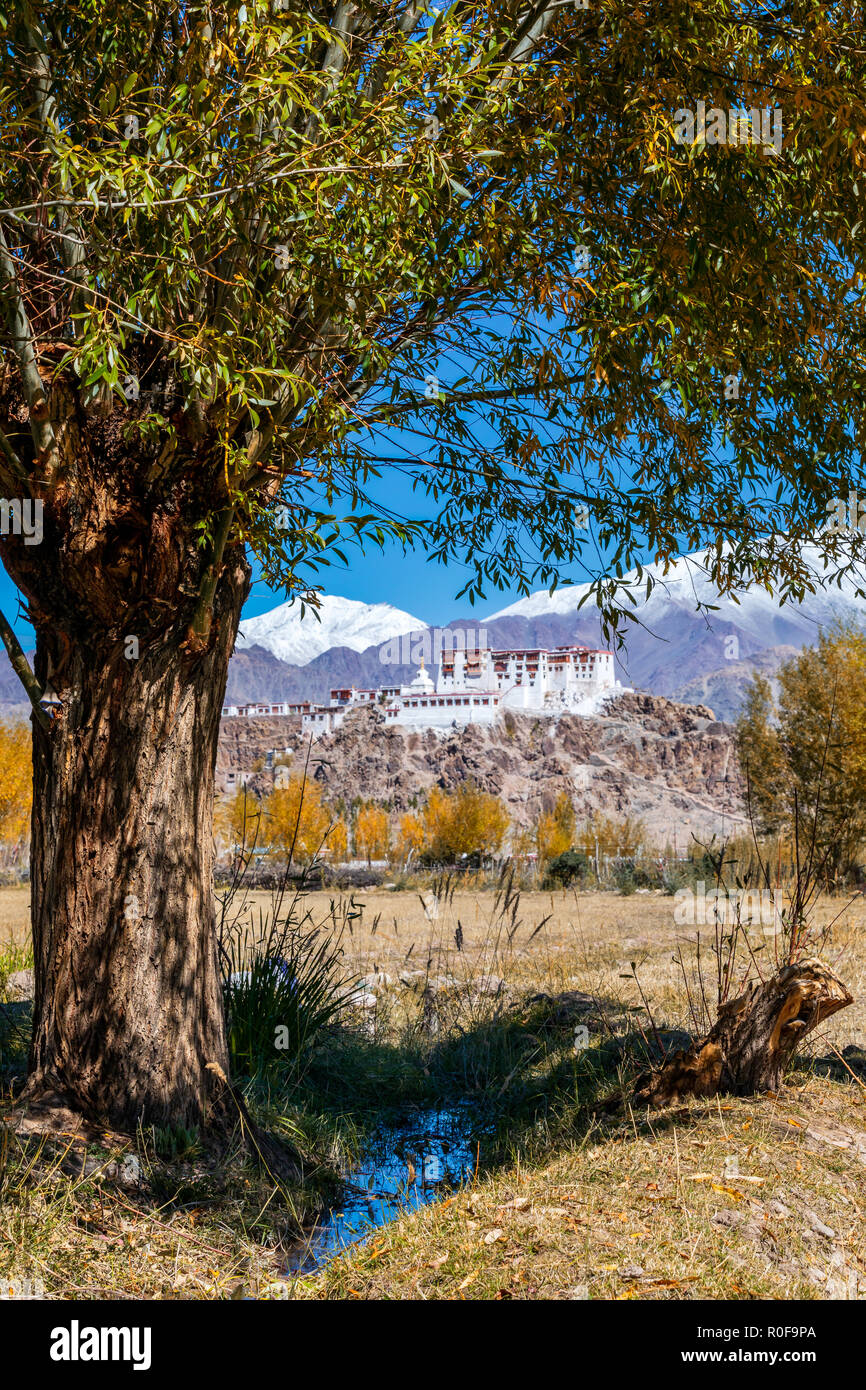 Monastero di Stakna o Stakna Gompa, Ladakh, India Foto Stock