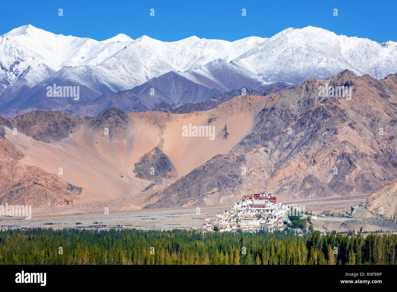 Monastero di Thiksey, Ladakh, Jammu e Kashmir India Foto Stock