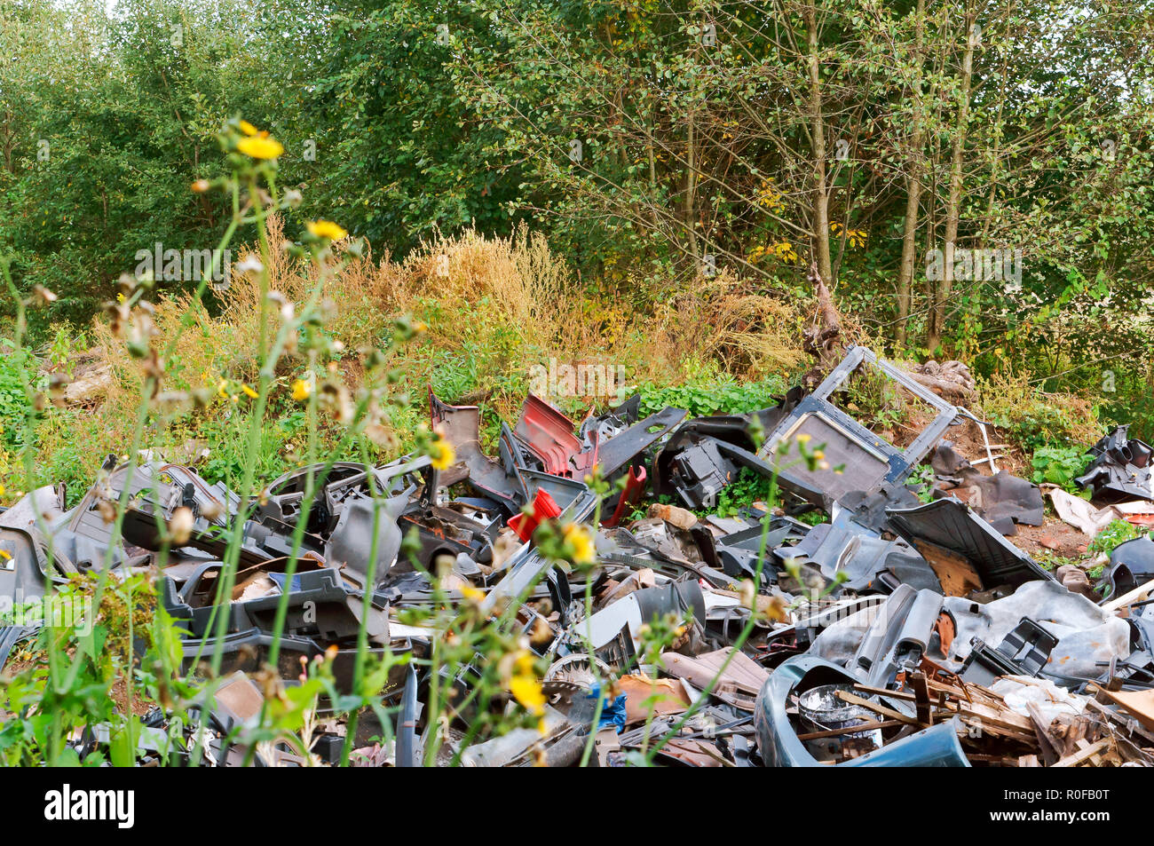 Discarica di rifiuti nella foresta, inquinamento umano Foto Stock