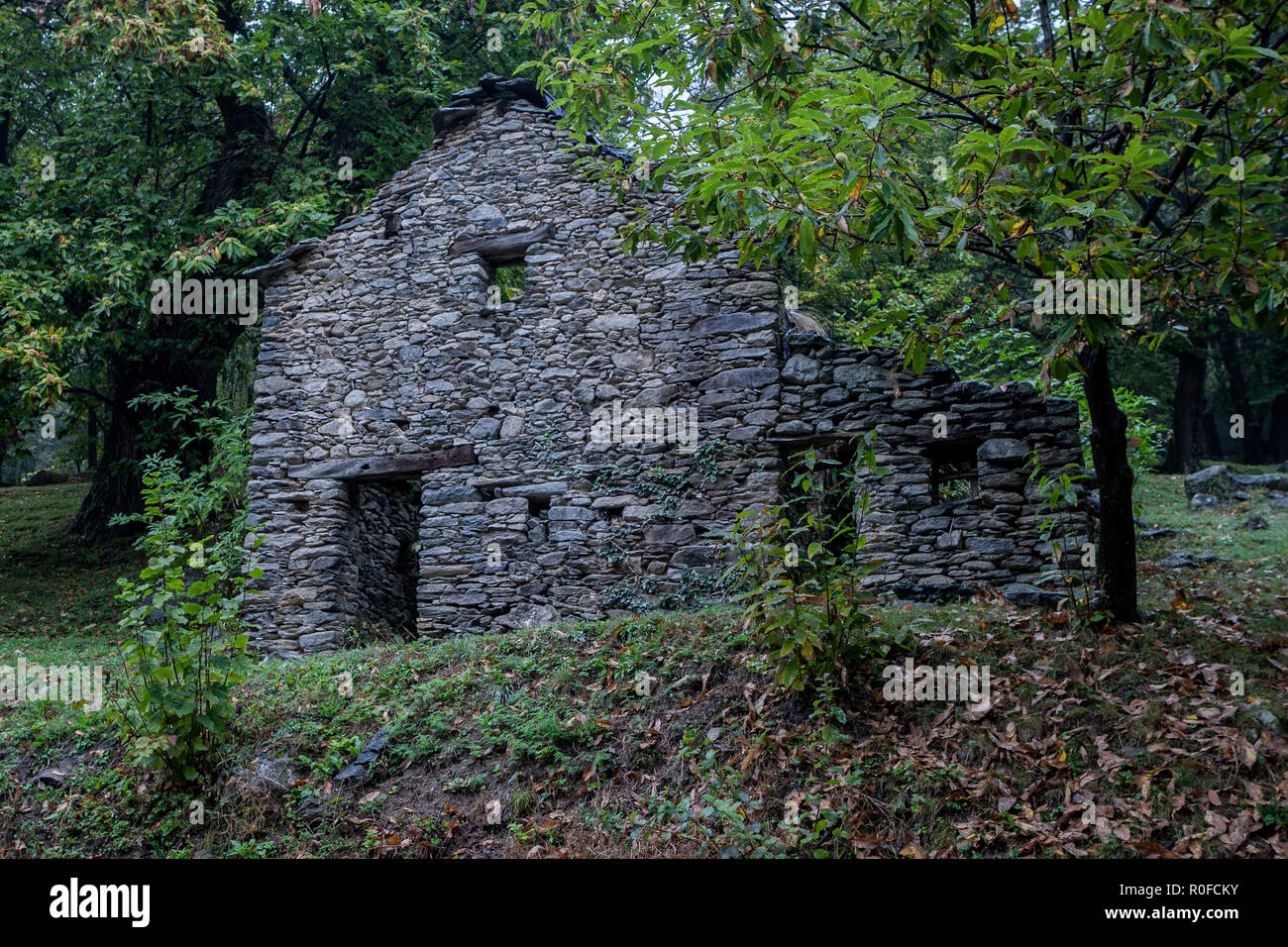 Un abbandonato casa di pietra in una foresta in Italia Foto Stock