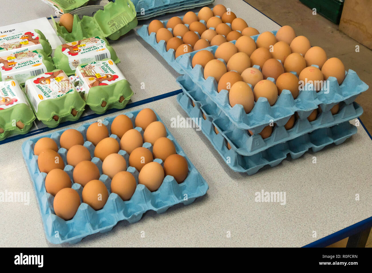 Brown Hen's uova sul display per la vendita in un garden center nel North Yorkshire Foto Stock