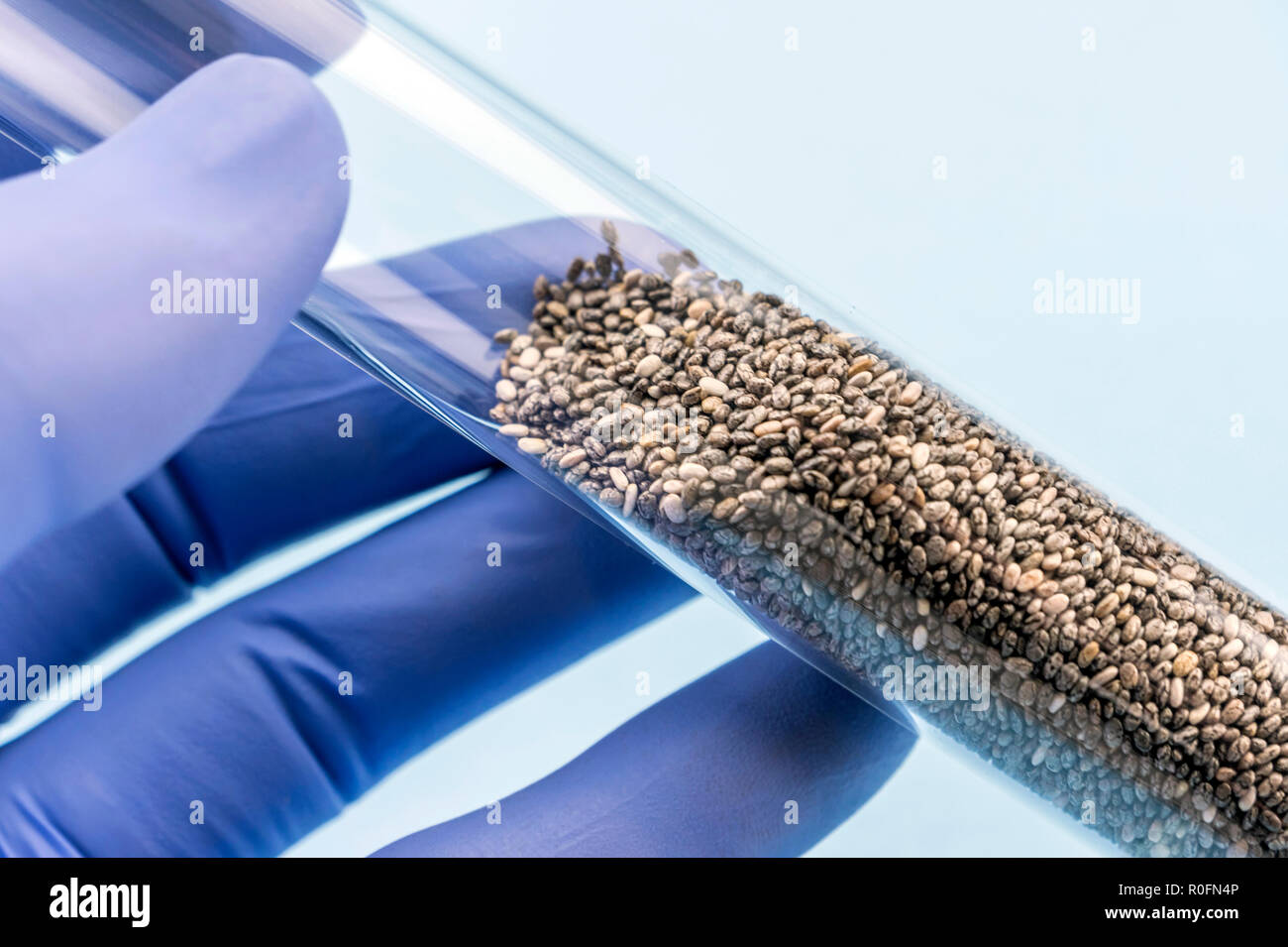 Medico mantiene il tubo di prova con i semi per lo studio in un laboratorio, immagine concettuale Foto Stock