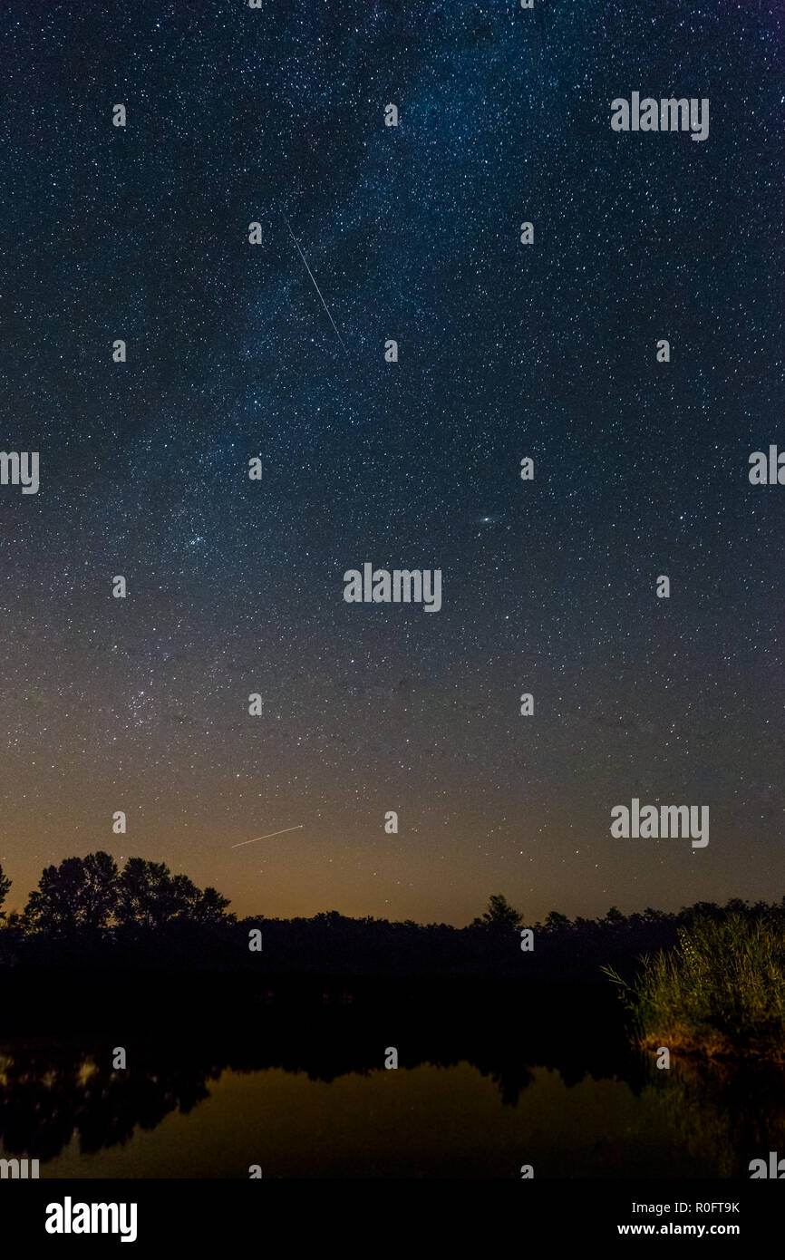 Blu scuro cielo notturno con molte stelle sopra il campo di alberi di parco. Via lattea sfondo cosmos Foto Stock