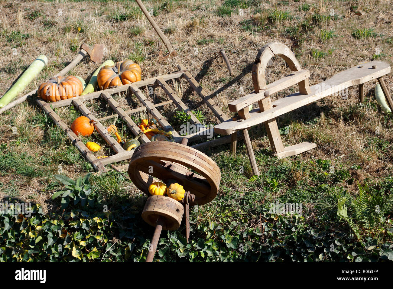 Pflug, Schwungrad, Kürbisse und andere retrò Accurbau Geräte aus Holz ,als Dekoration, auf eine Wiese Foto Stock