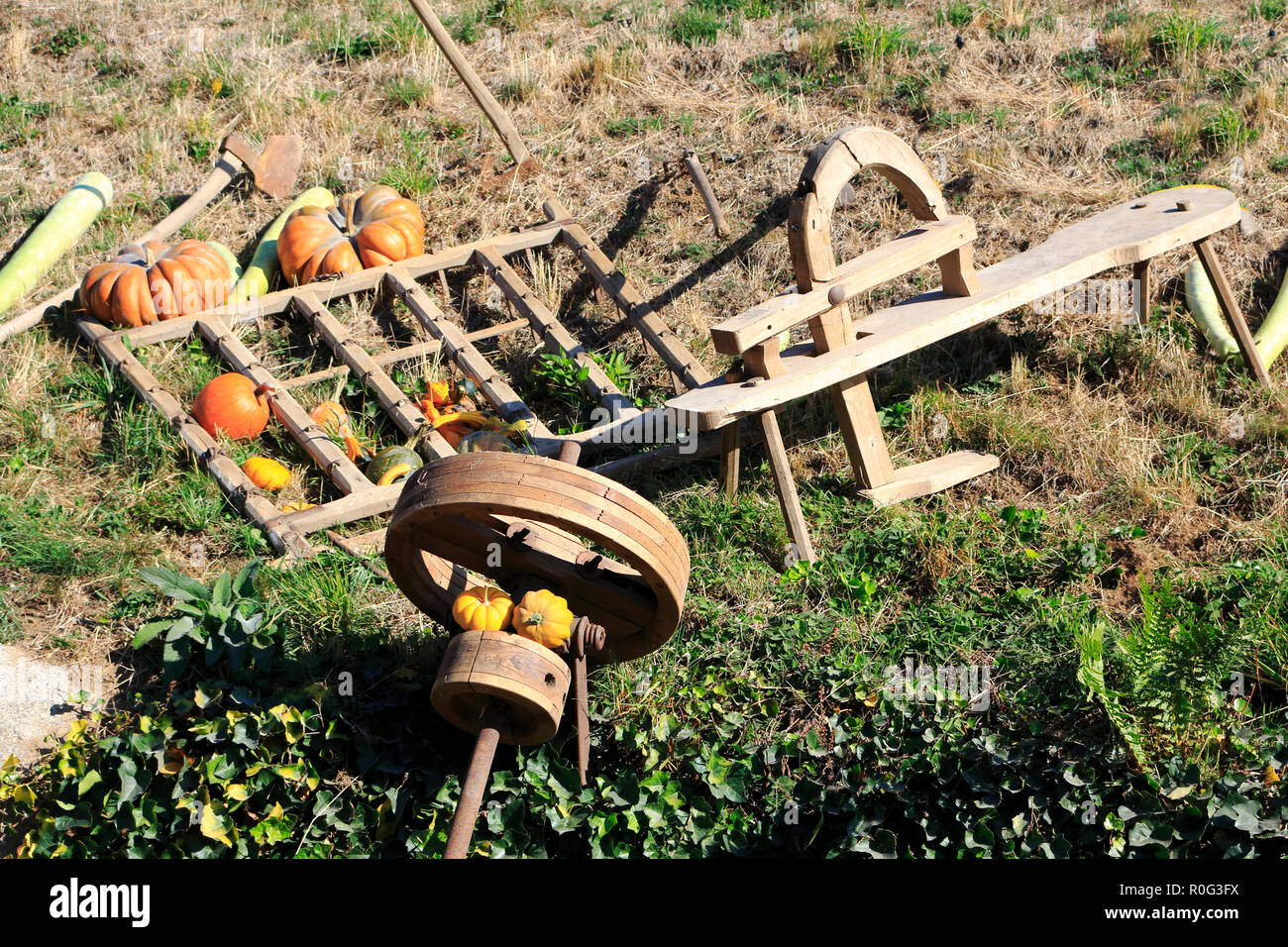 Pflug, Schwungrad, Kürbisse und andere retrò Accurbau Geräte aus Holz ,als Dekoration, auf eine Wiese Foto Stock
