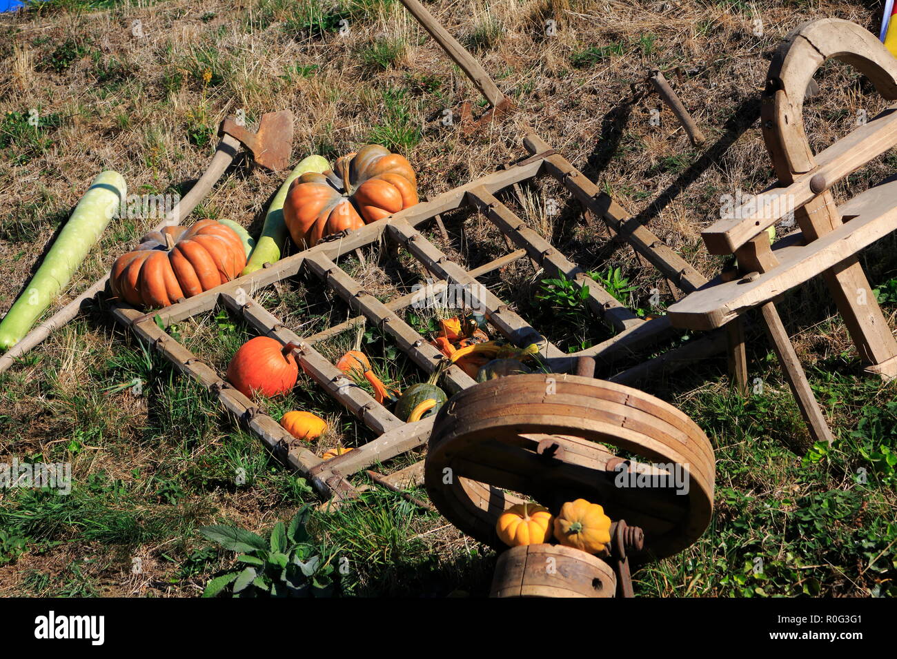 Pflug, Schwungrad, Kürbisse und andere retrò Accurbau Geräte aus Holz ,als Dekoration, auf eine Wiese Foto Stock
