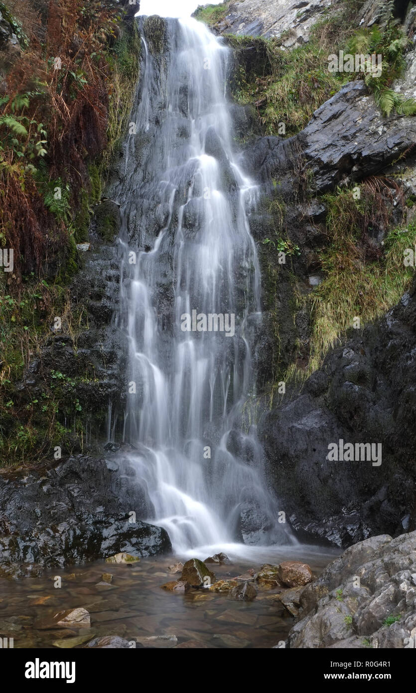 L'acqua scorre su quattro metri di altezza Lightbut Waterfall, Long Mynd, Shropshire. Questo torrente alla testa della valle del Mulino cardante, si unisce a Cound Brook, un affluente del fiume Severn Foto Stock