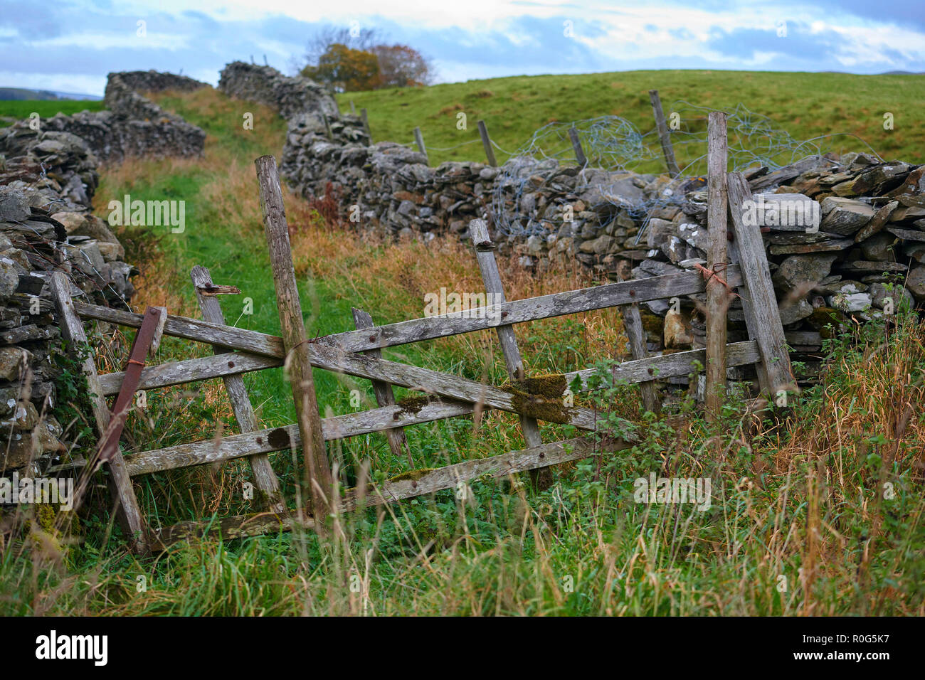 Porta Vecchia, Yorkshire Dales, a Horton in Ribblesdale, nell'Inghilterra del Nord, Regno Unito Foto Stock