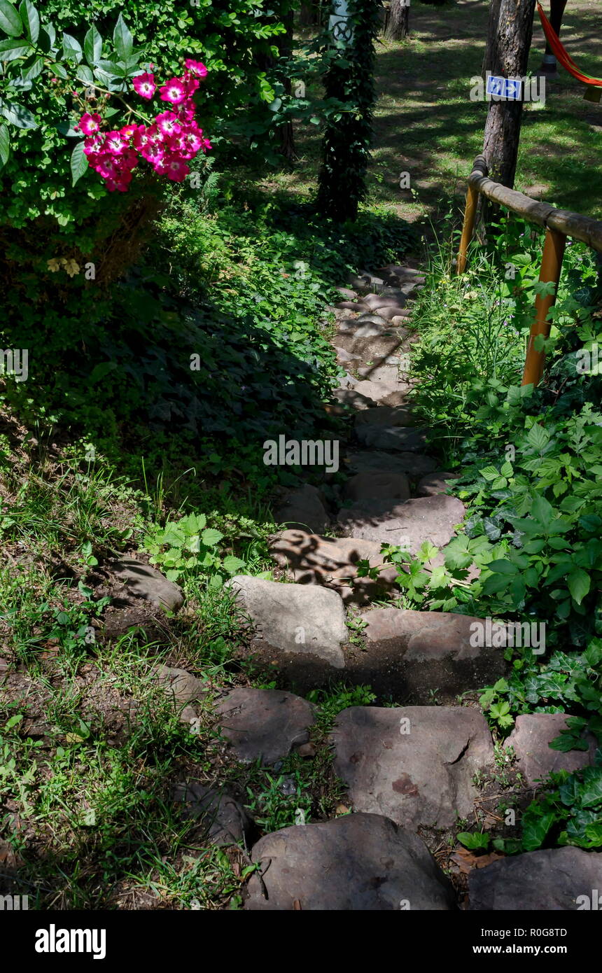 Un decorativo frontale ingresso naturale o porta verso il bambino bivacco pubblica nella foresta di conifere vicino al villaggio Pasarel, Bulgaria Foto Stock