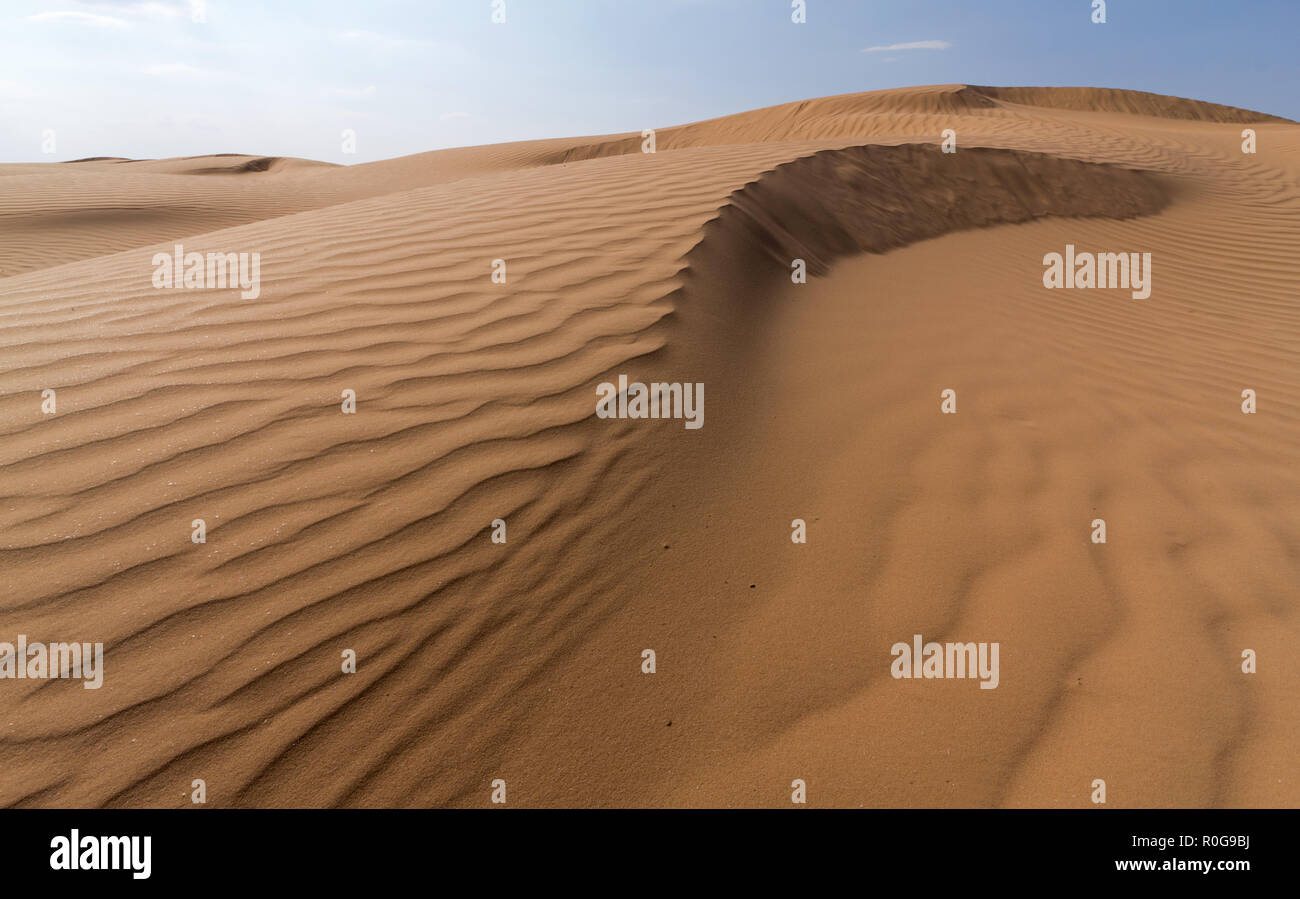 Le dune di sabbia del deserto Russo, Russia, Astrakhan Foto Stock