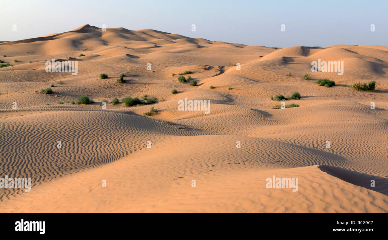 Le dune di sabbia del deserto Russo, Russia, Astrakhan Foto Stock