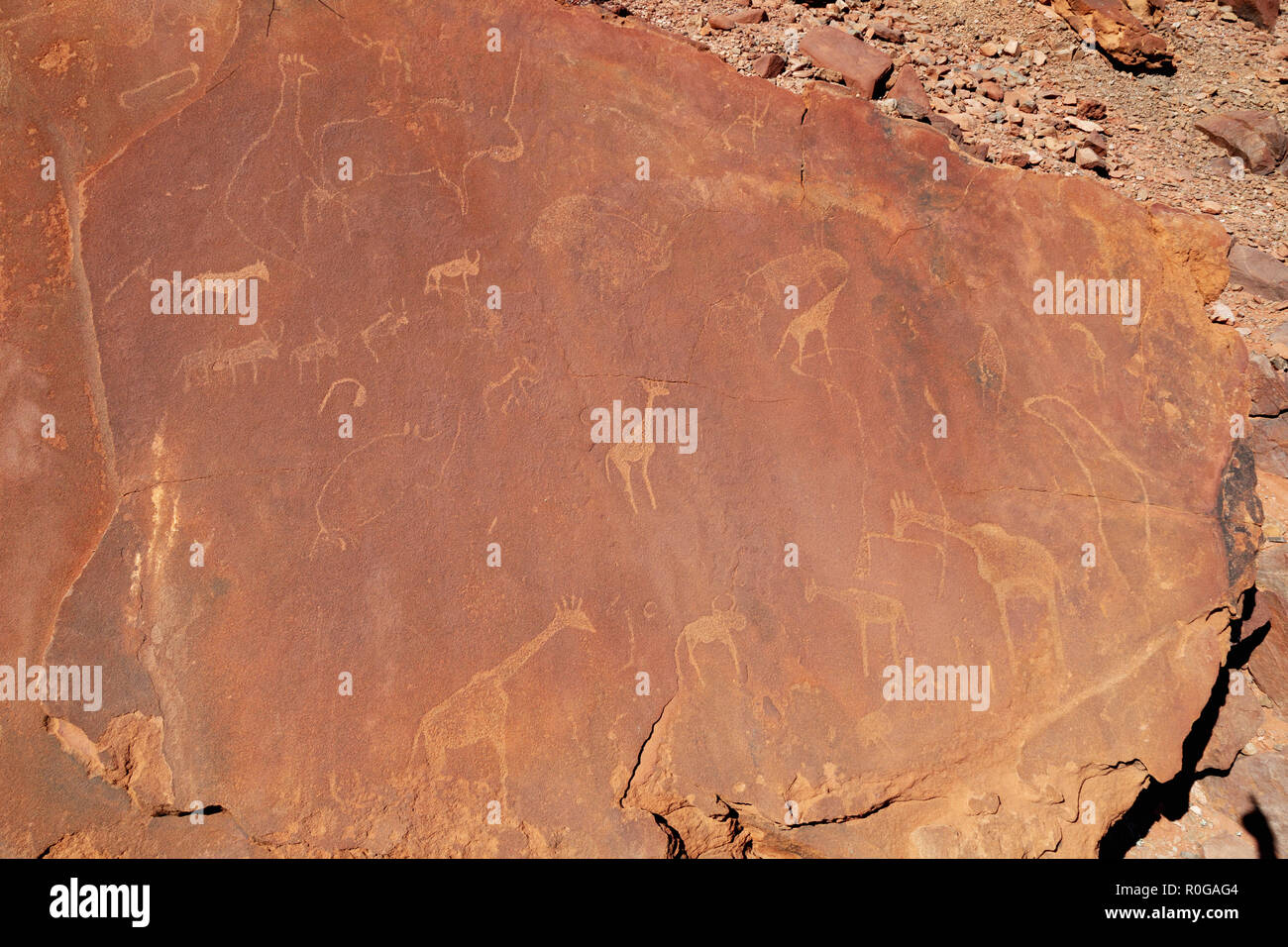 Twyfelfontein Namibia; boscimane di antiche incisioni rupestri presso il sito patrimonio mondiale dell'UNESCO, Twyfelfontein, Damaraland, Namibia Africa Foto Stock