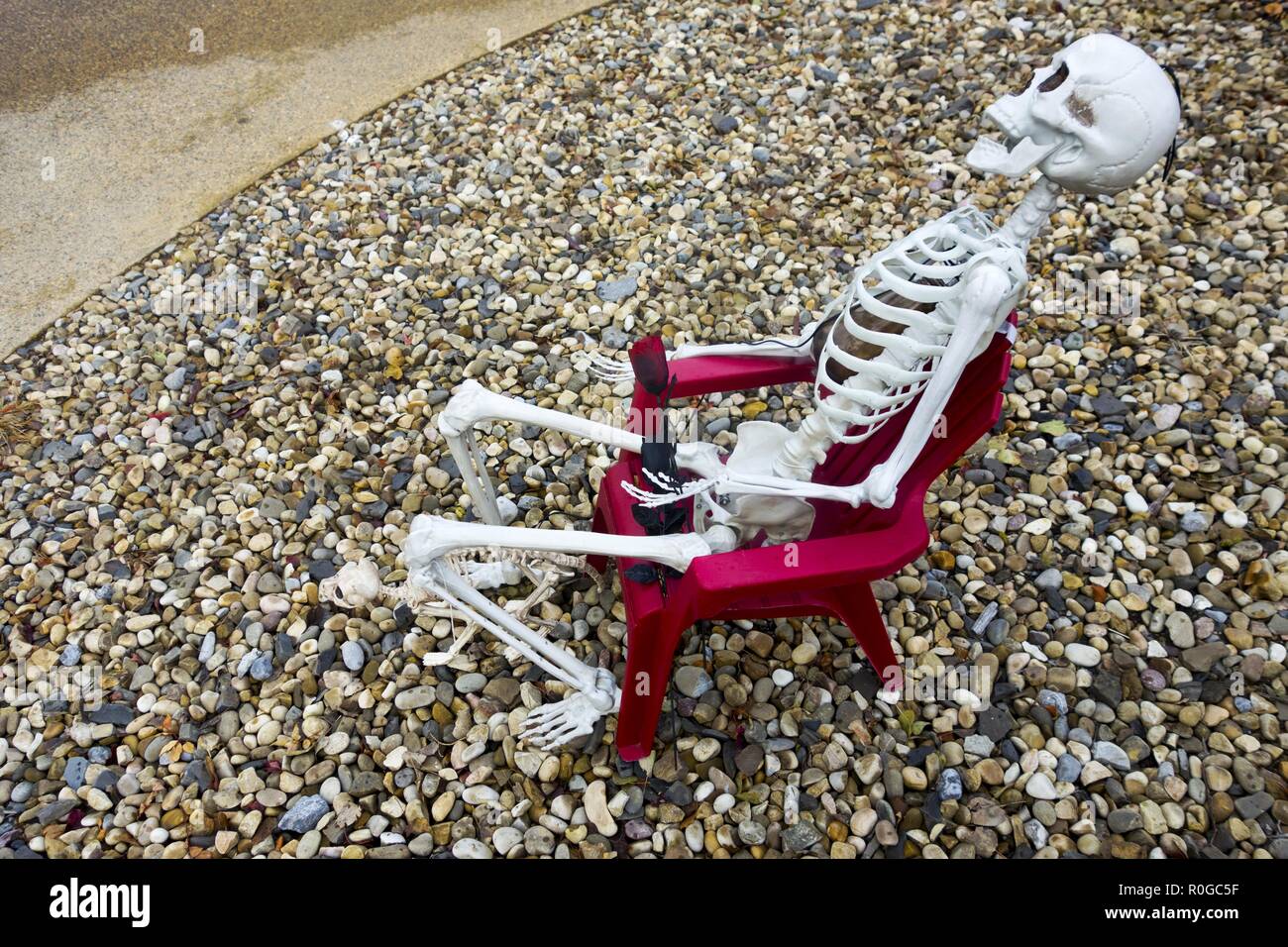 Scheletro umano modello seduto nella sedia rossa Decorazione Halloween Foto  stock - Alamy