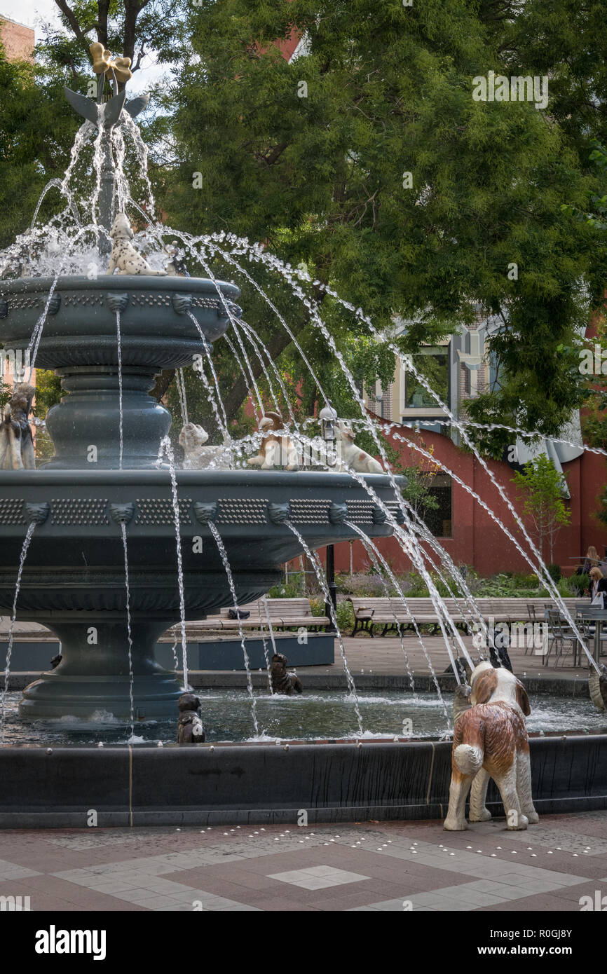 Fontana del cane in Berczy Park, Toronto, Canada Foto Stock