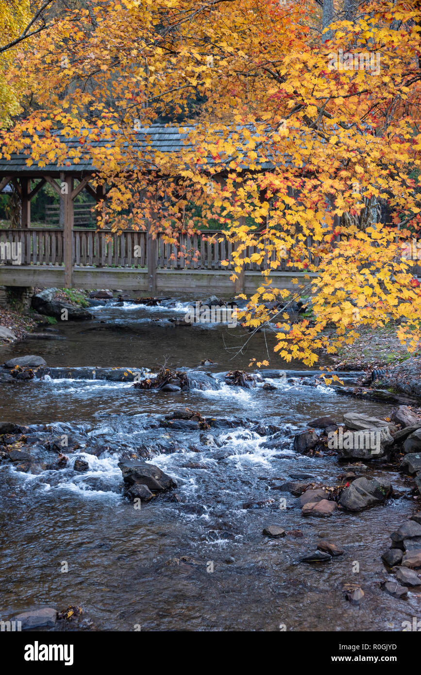Passerella sul Wolf Creek a Vogel State Park in Blue Ridge Mountains del nord-est della Georgia. (USA) Foto Stock