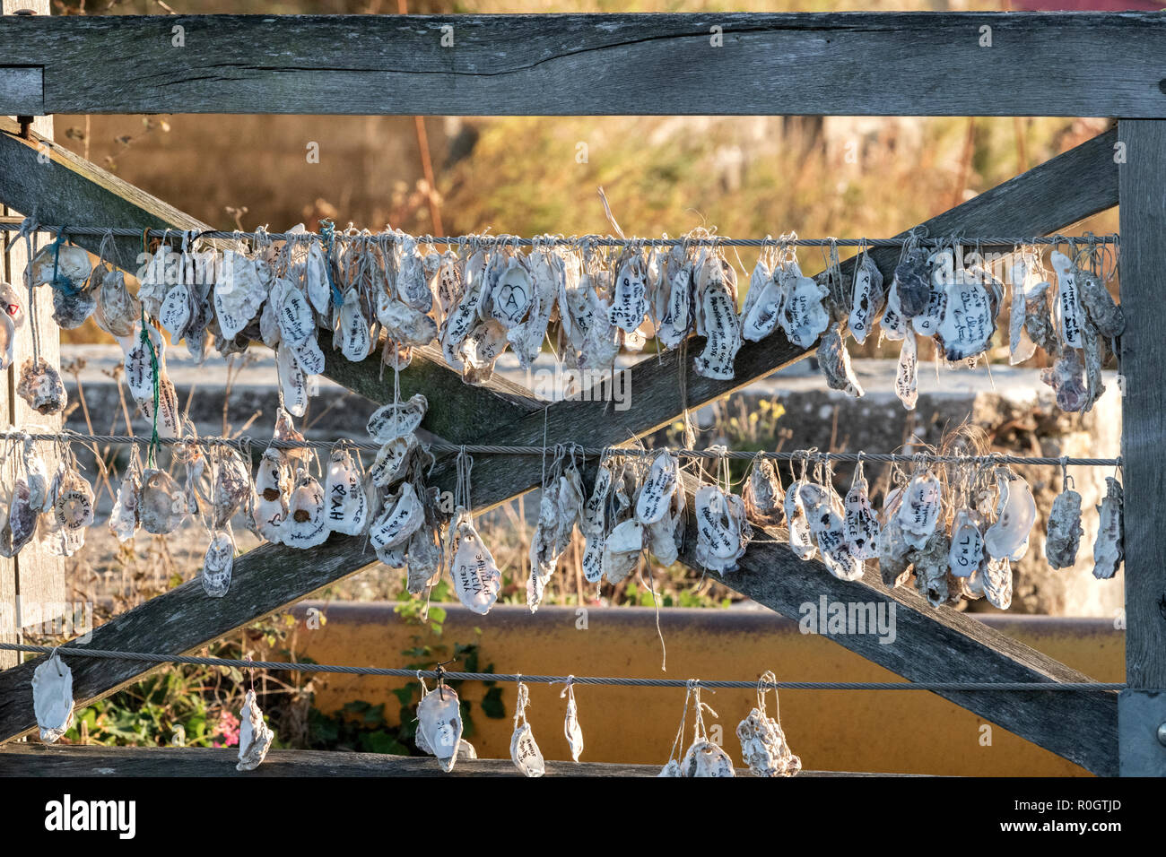 L'Europa, Francia, Île d'Oléron, Château-d'Oléron, tradizione turistica di fissaggio guscio di ostrica di un ponte. Foto Stock