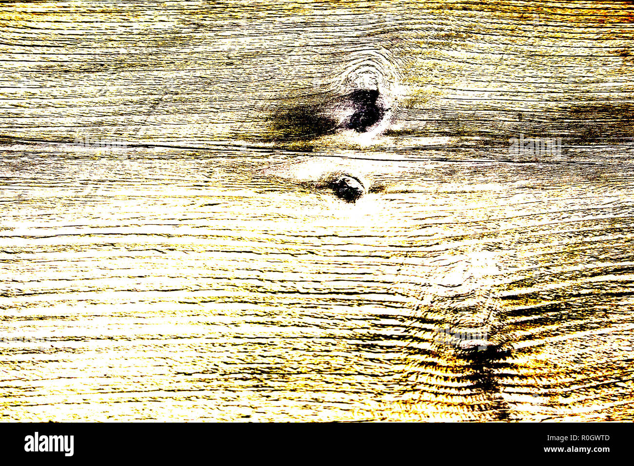 Colori ad alto contrasto texture di legno in toni di colore giallo, taglio longitudinale con nodi, HDR tonificante Foto Stock