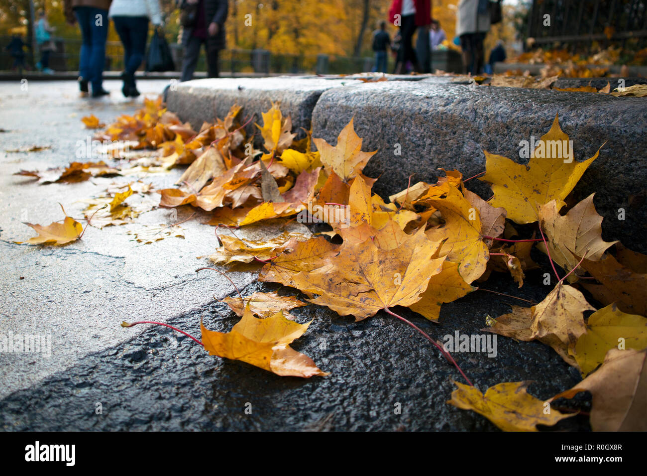 Pila di giallo di foglie di acero in asfalto closeup e persone a piedi sullo sfondo Foto Stock