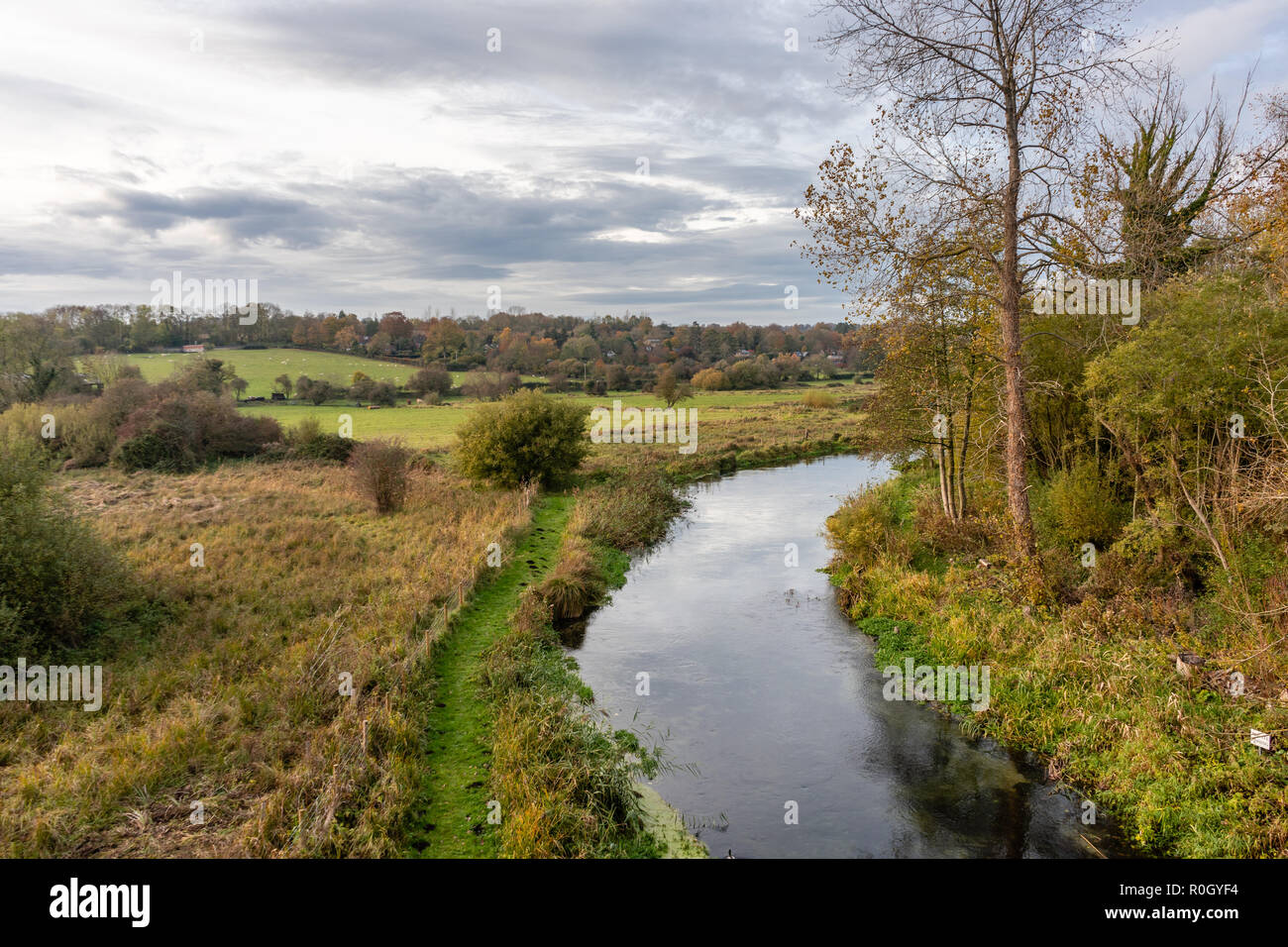 Fiume Itchen vicino a Winchester in Hampshire, Inghilterra, Regno Unito Foto Stock