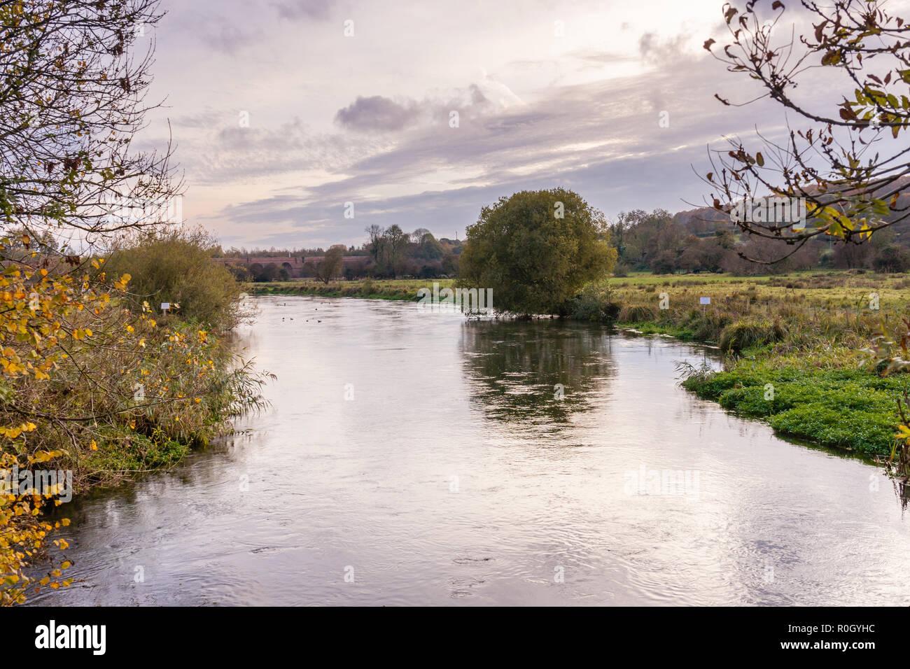 Il fiume Itchen vicino a Winchester in Hampshire, Inghilterra, Regno Unito Foto Stock