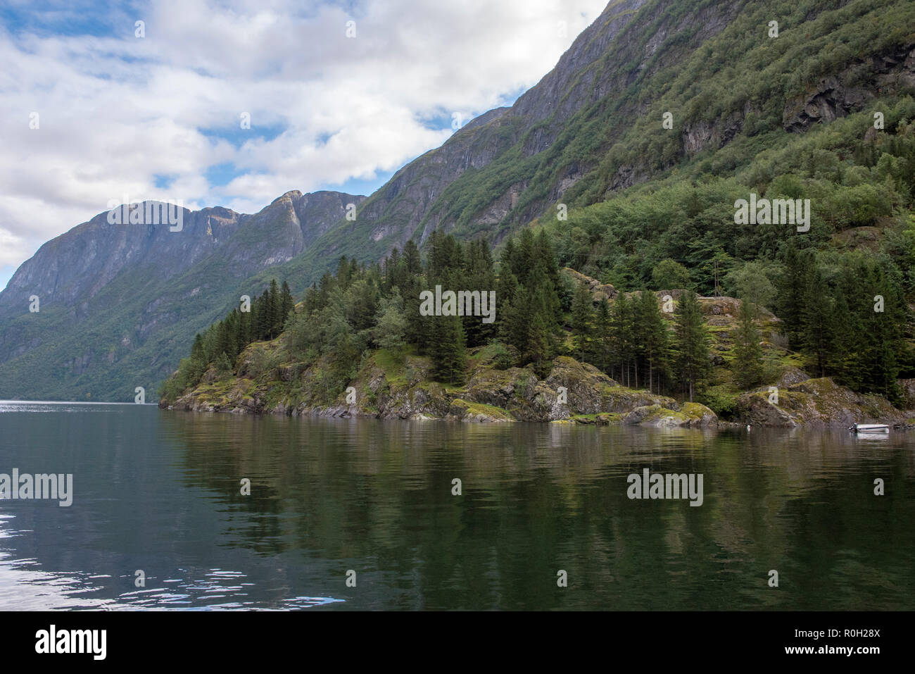 Paesaggio tranquillo con abeti sulla costa del fiordo Gudvangen in Norvegia Foto Stock