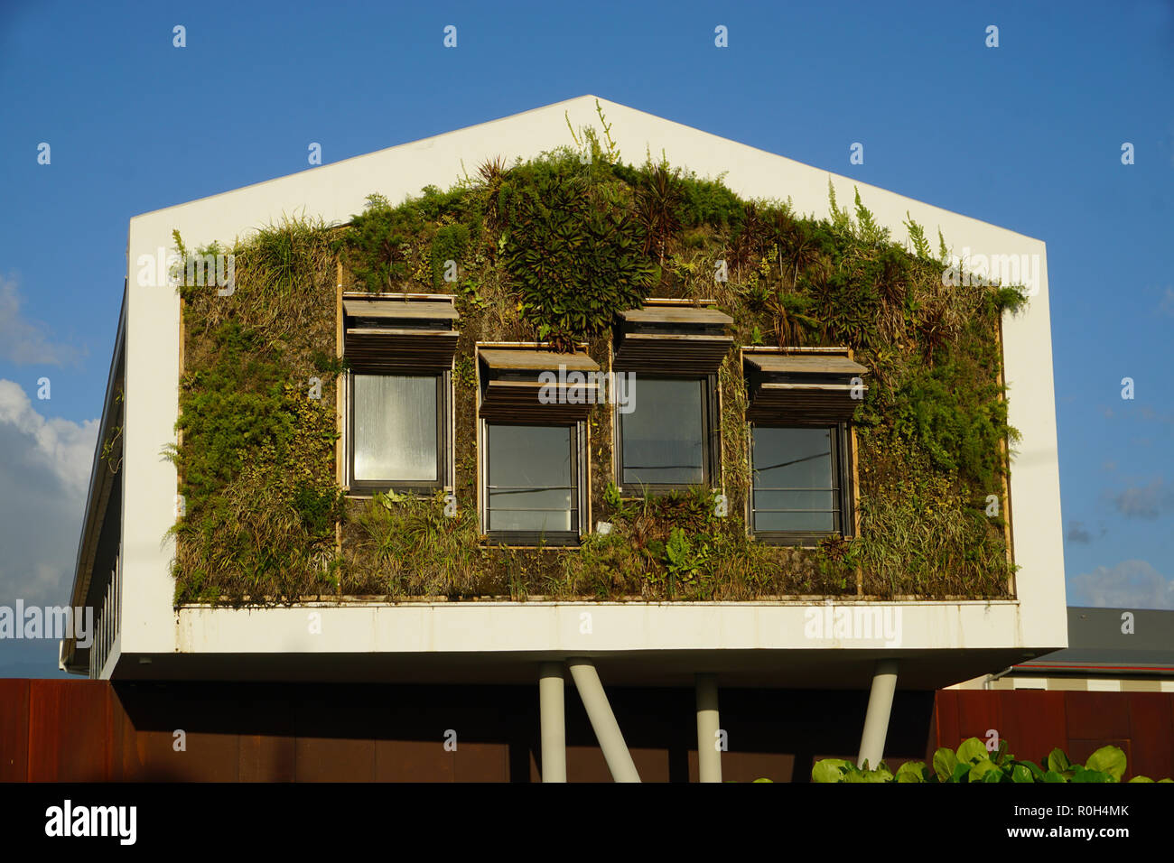 La fantastica architettura su una casa con la facciata coperta con la coltivazione di piante in La Réunion, Francia Foto Stock