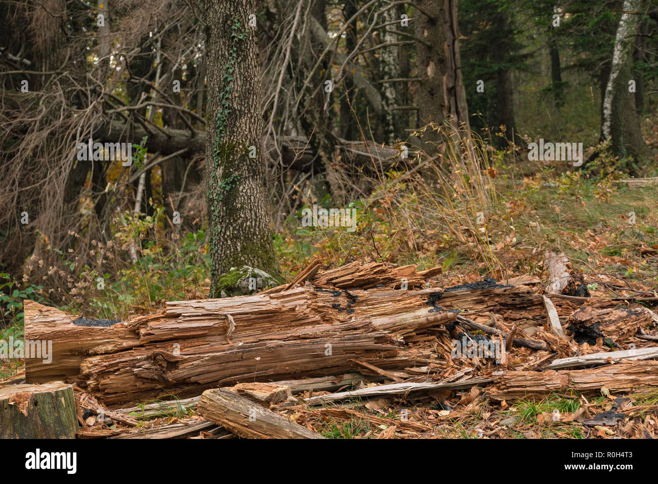 Opinioni su parchi e villaggi di autunno - Blick auf Parks und Herbstdörfer - Viste su parchi e villaggi autunnali Foto Stock