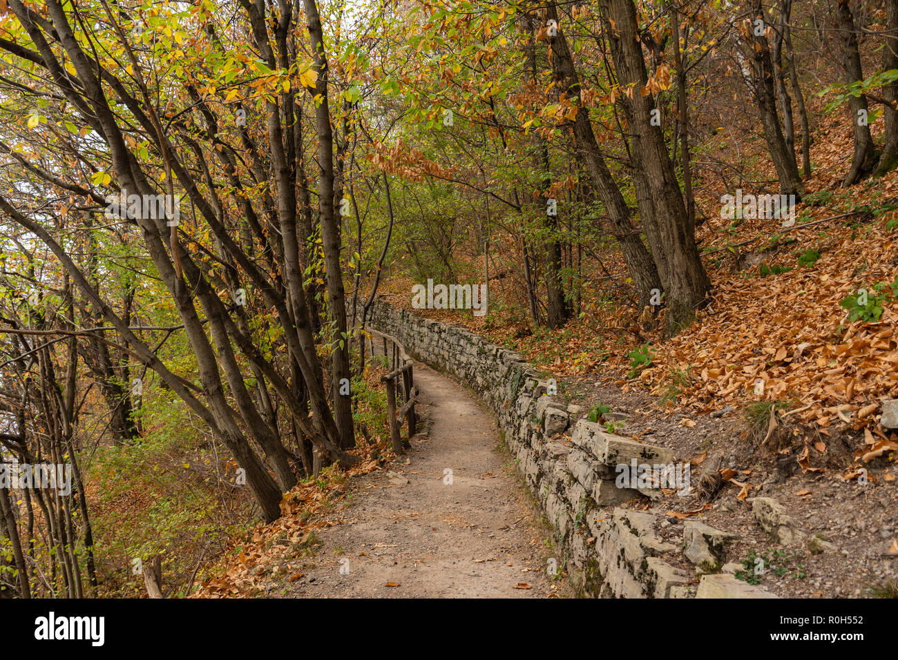 Opinioni su parchi e villaggi di autunno - Blick auf Parks und Herbstdörfer - Viste su parchi e villaggi autunnali Foto Stock